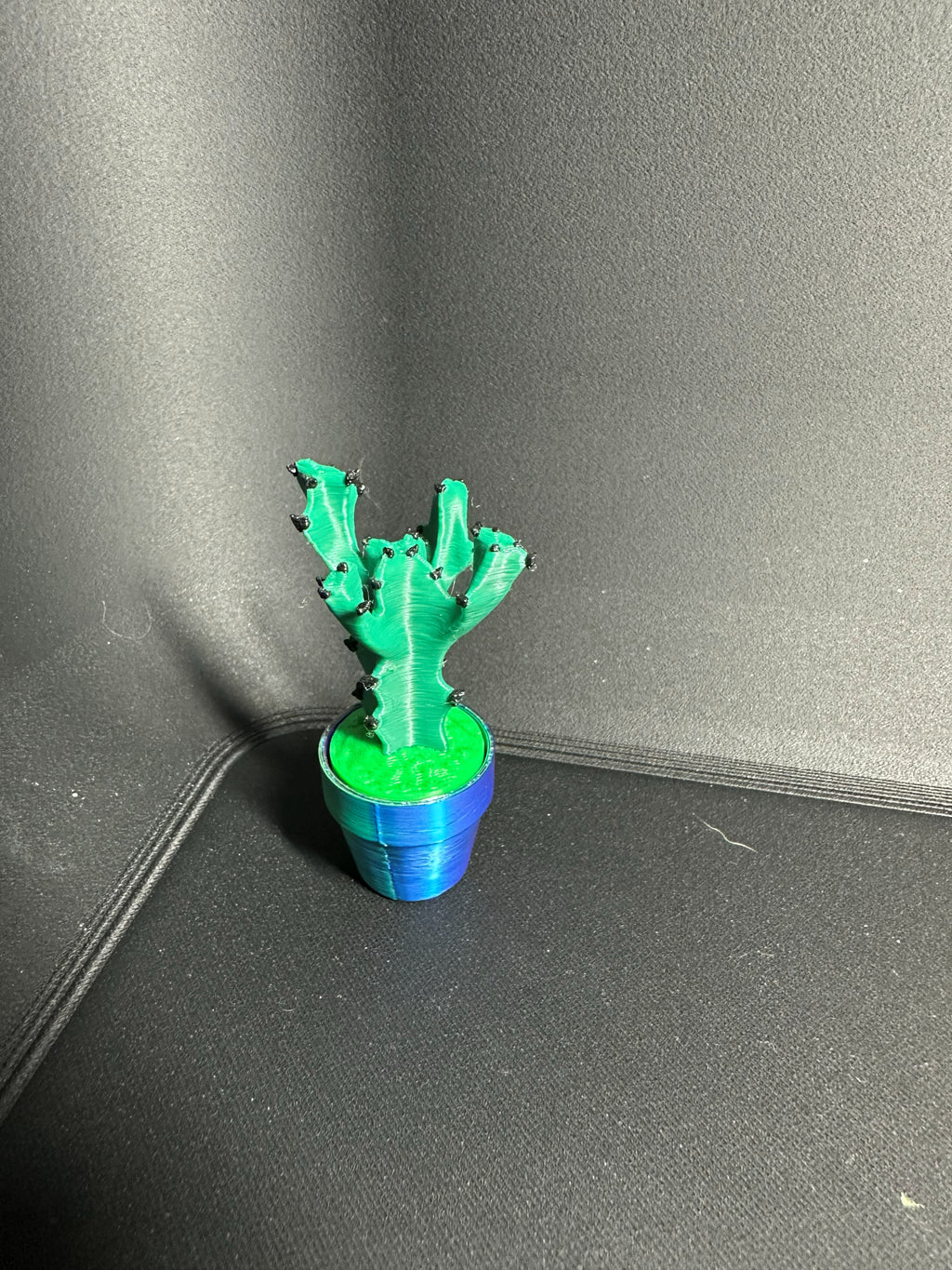 Clicky Cacti