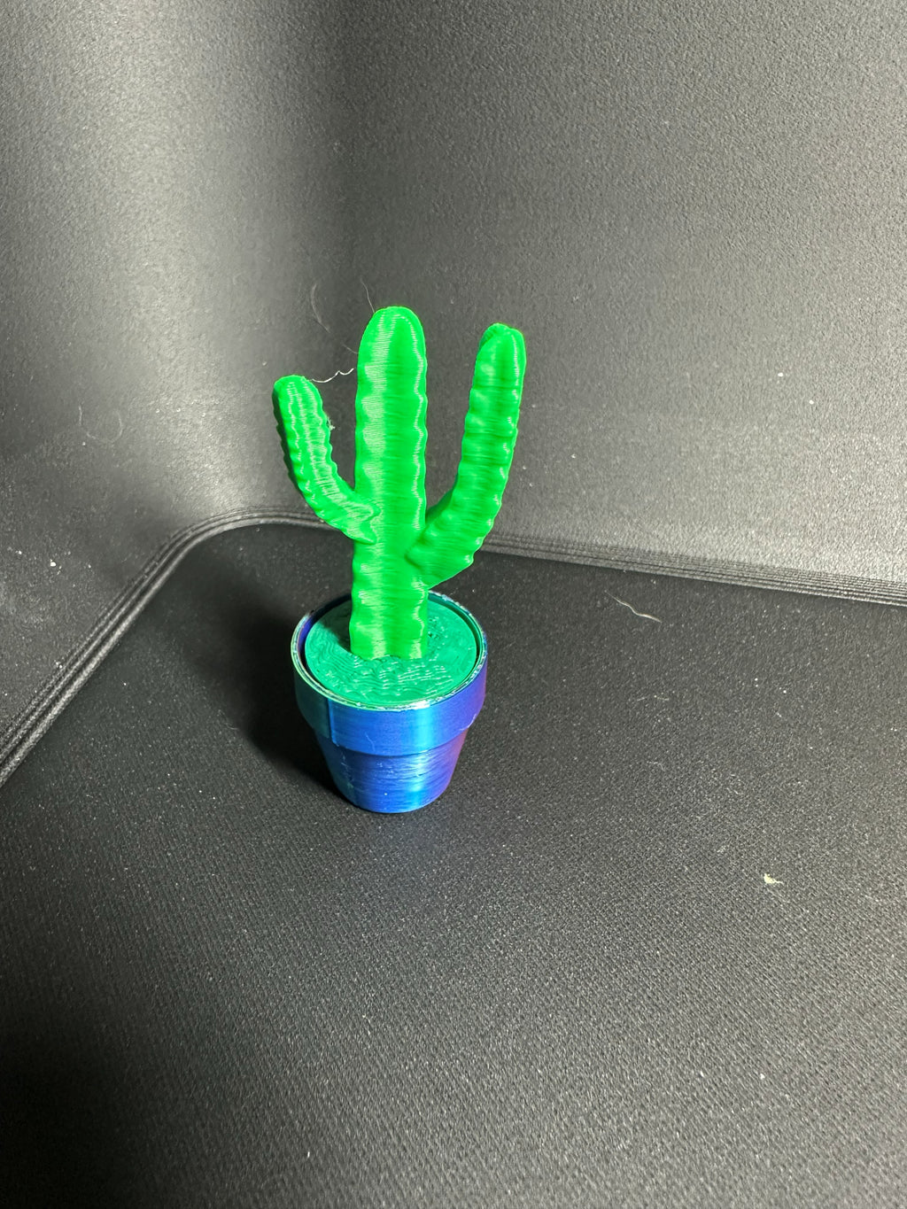 Clicky Cacti