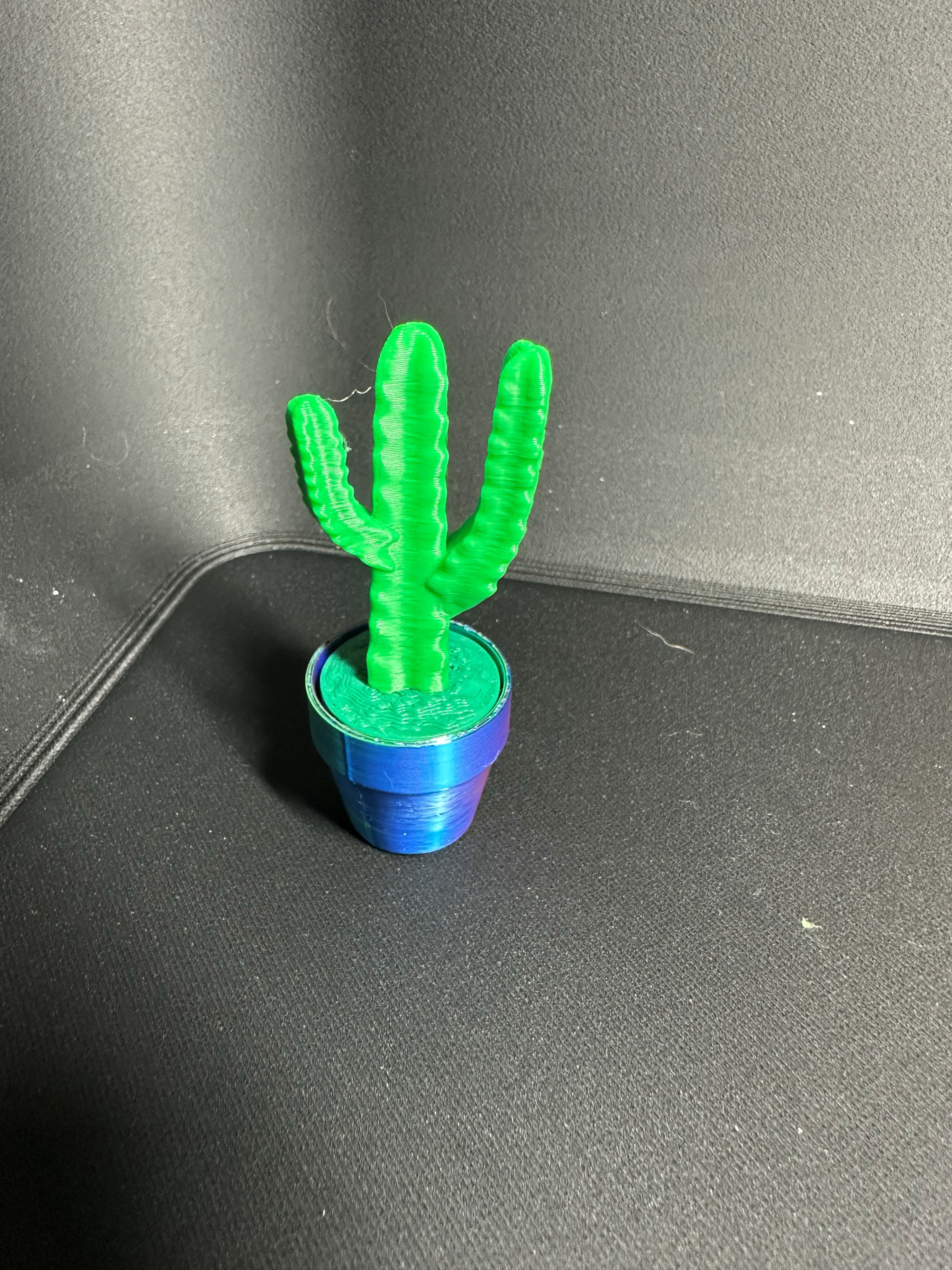 Clicky Cacti