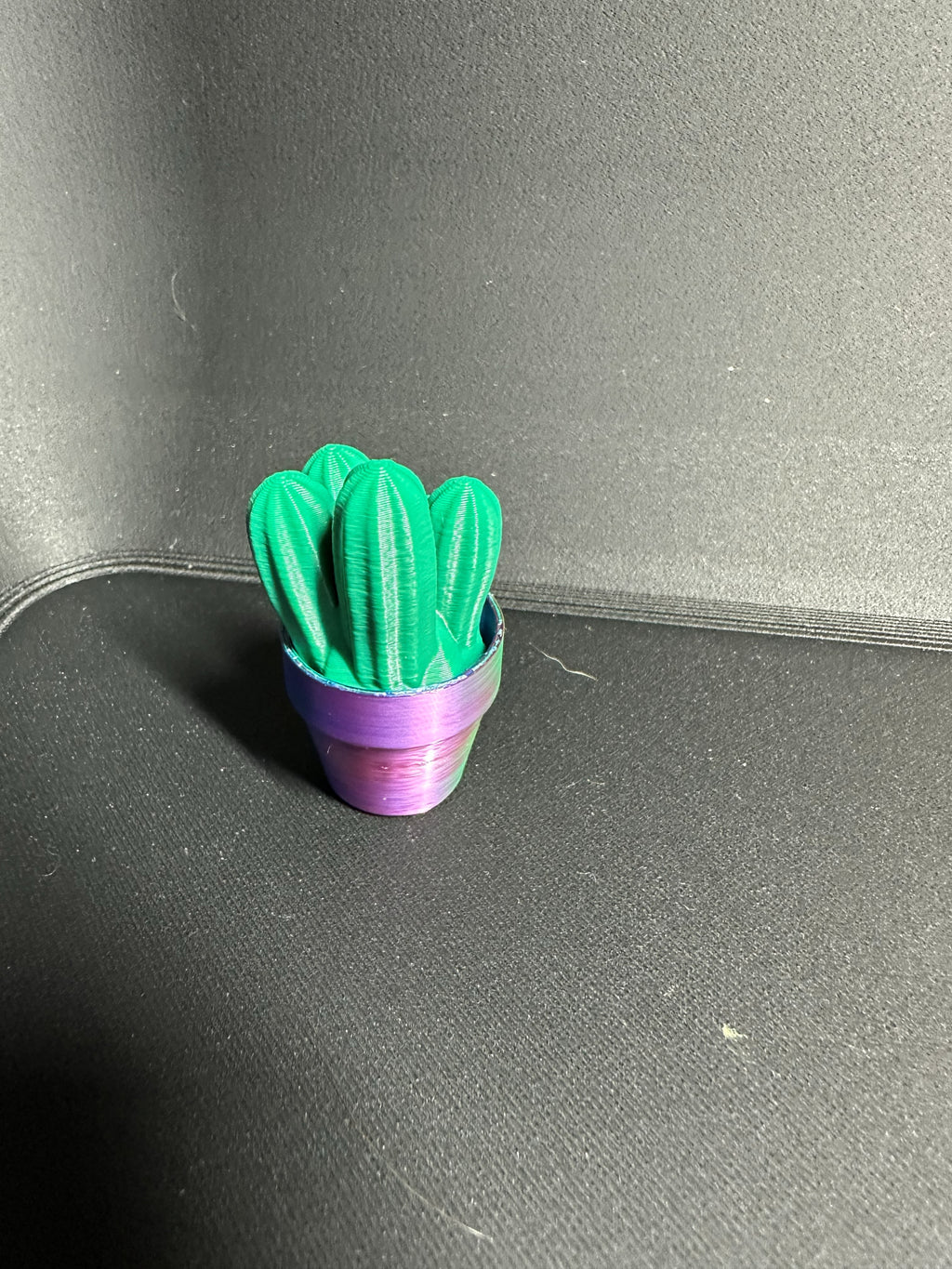 Cute Cactus Succulent Clicker for Work or Home