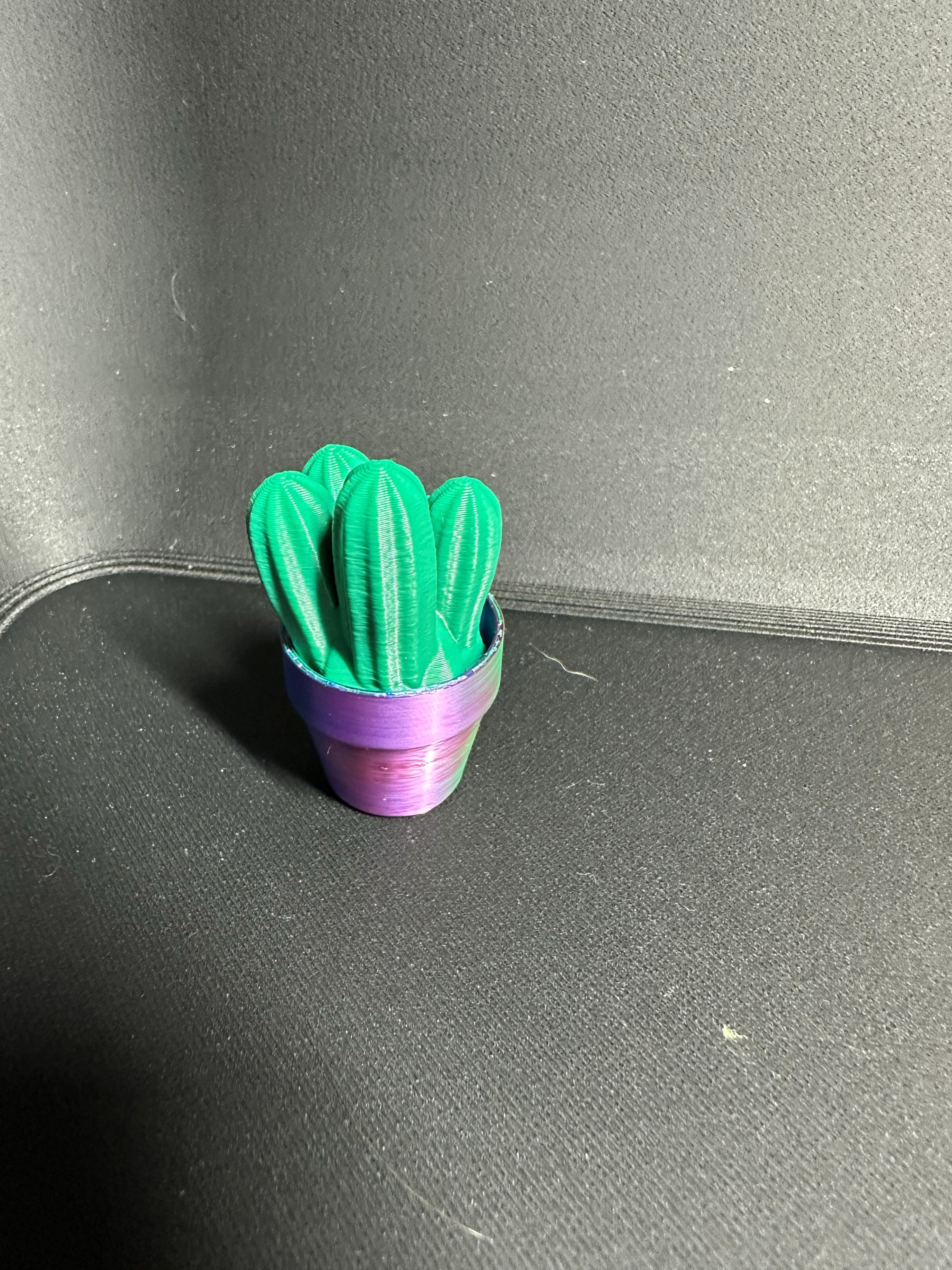 Cute Cactus Succulent Clicker for Work or Home