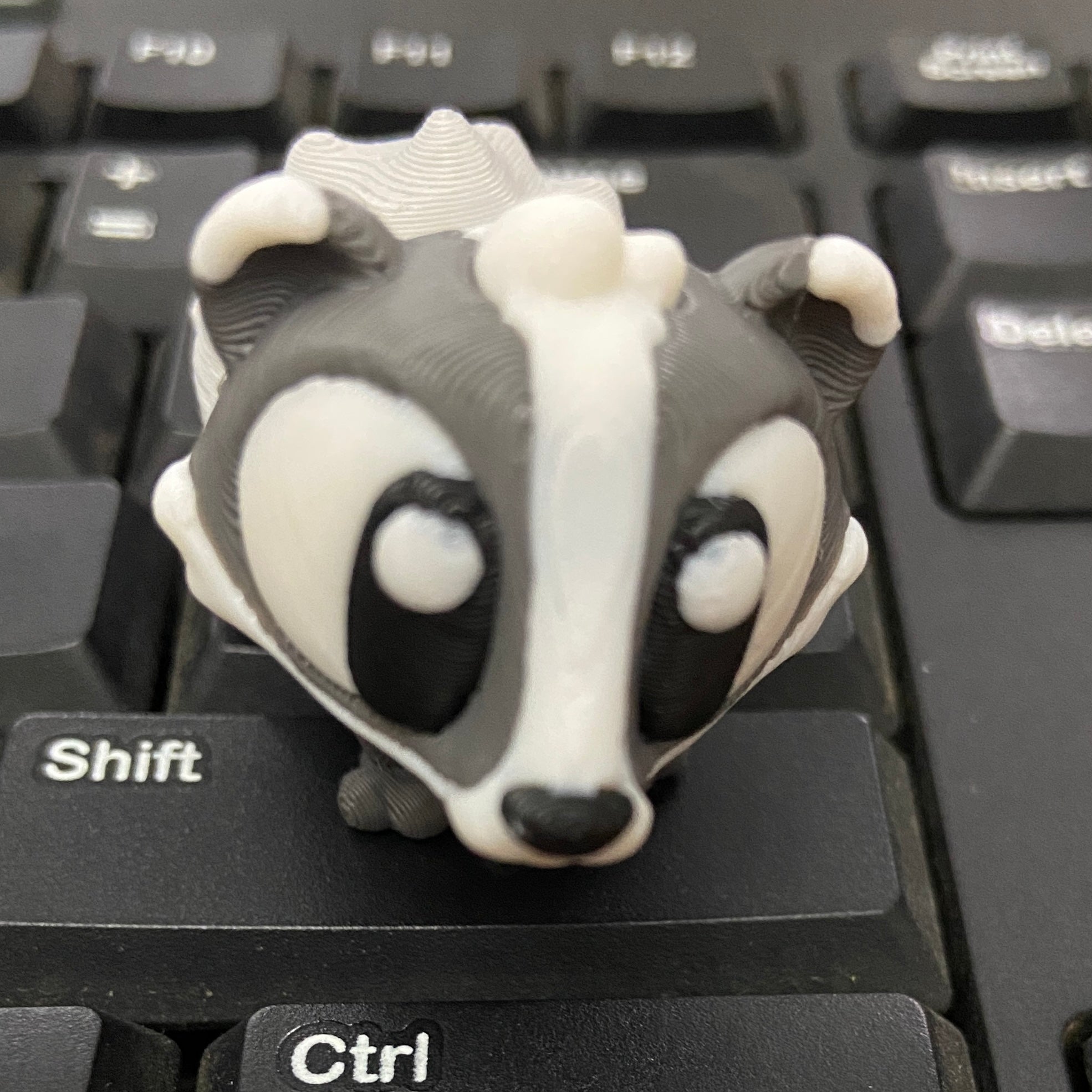 Bashful Badger Fidget -3d Printed Desk Buddy & Keychain