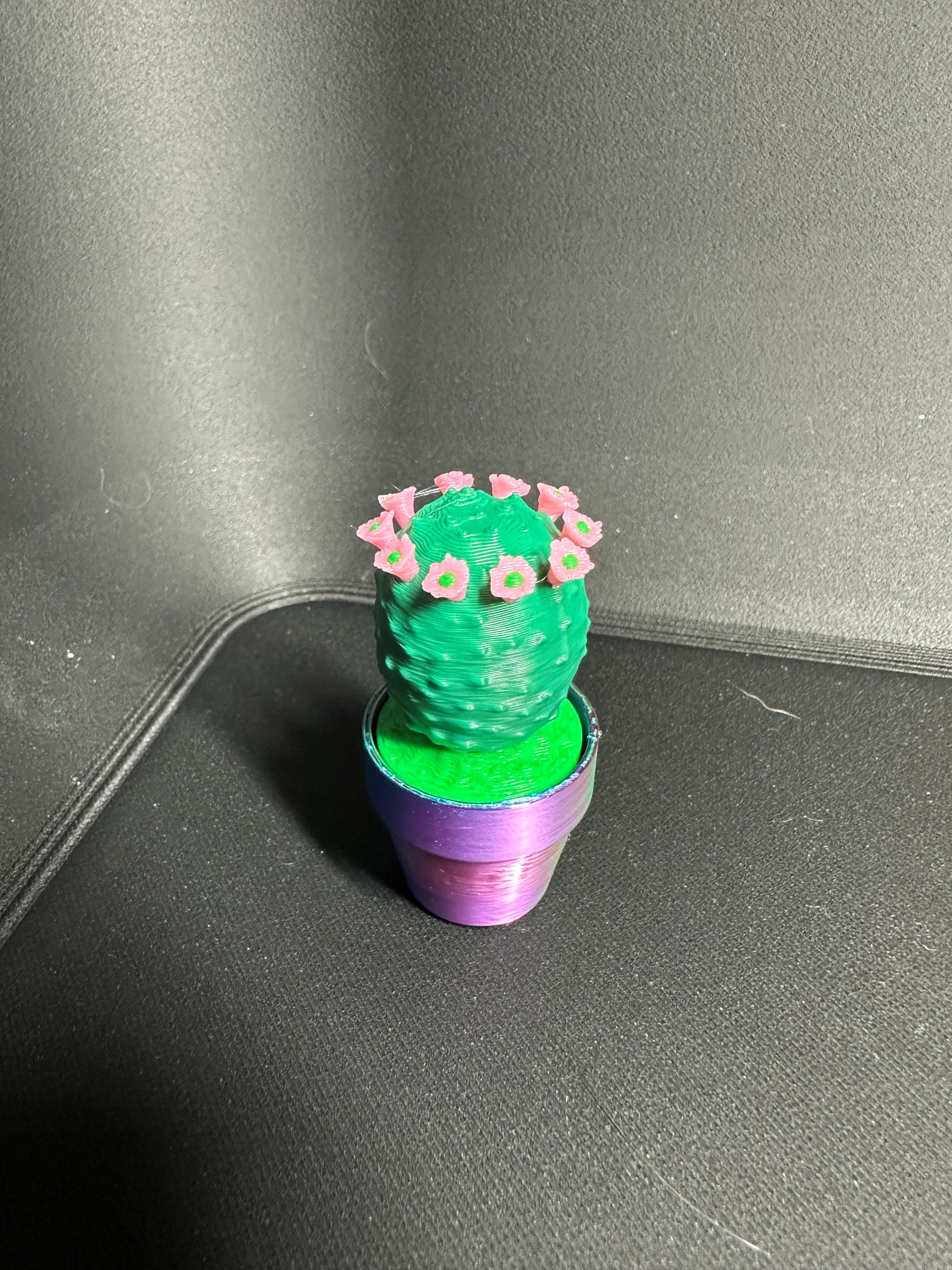 Clicky Cacti