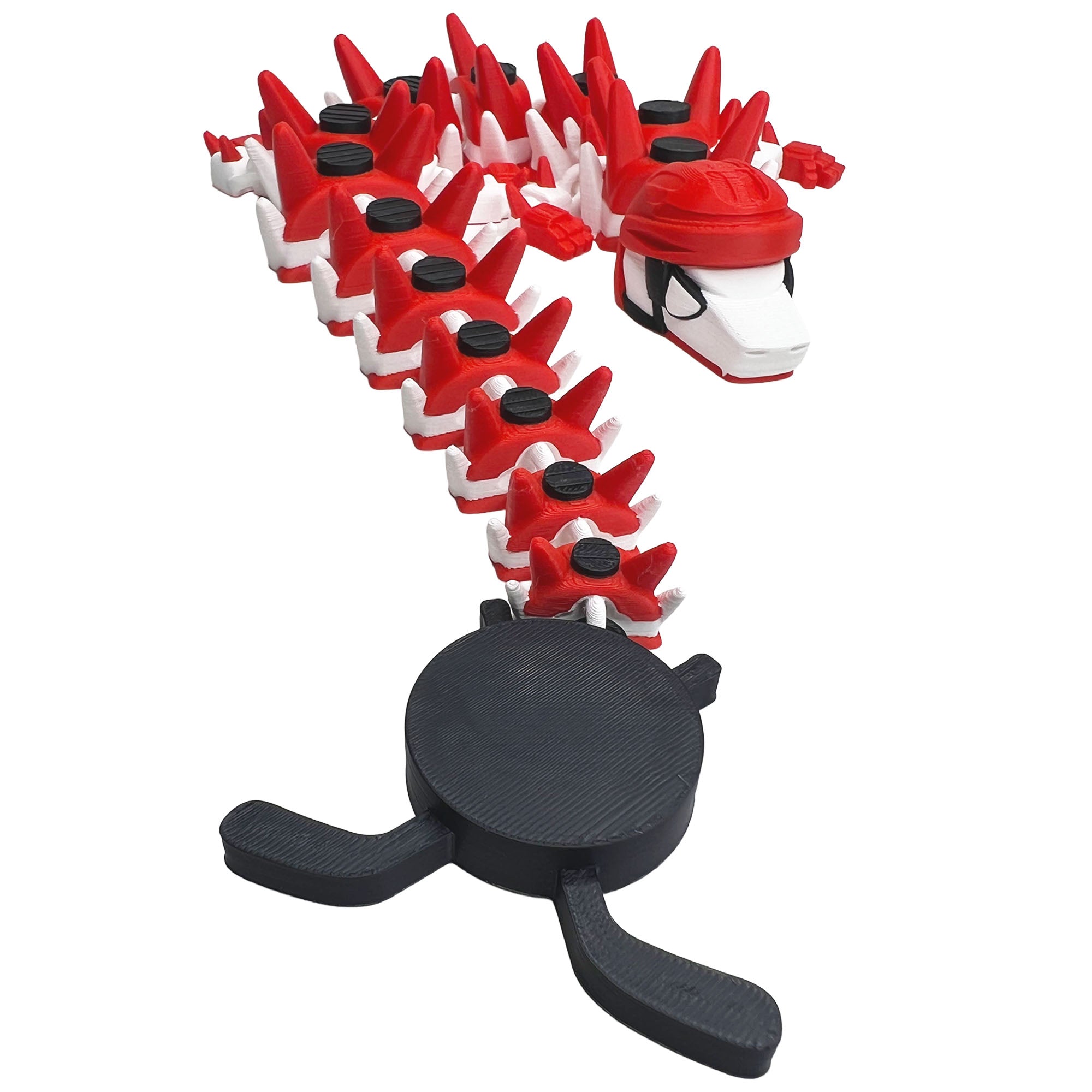 Sports Dragons