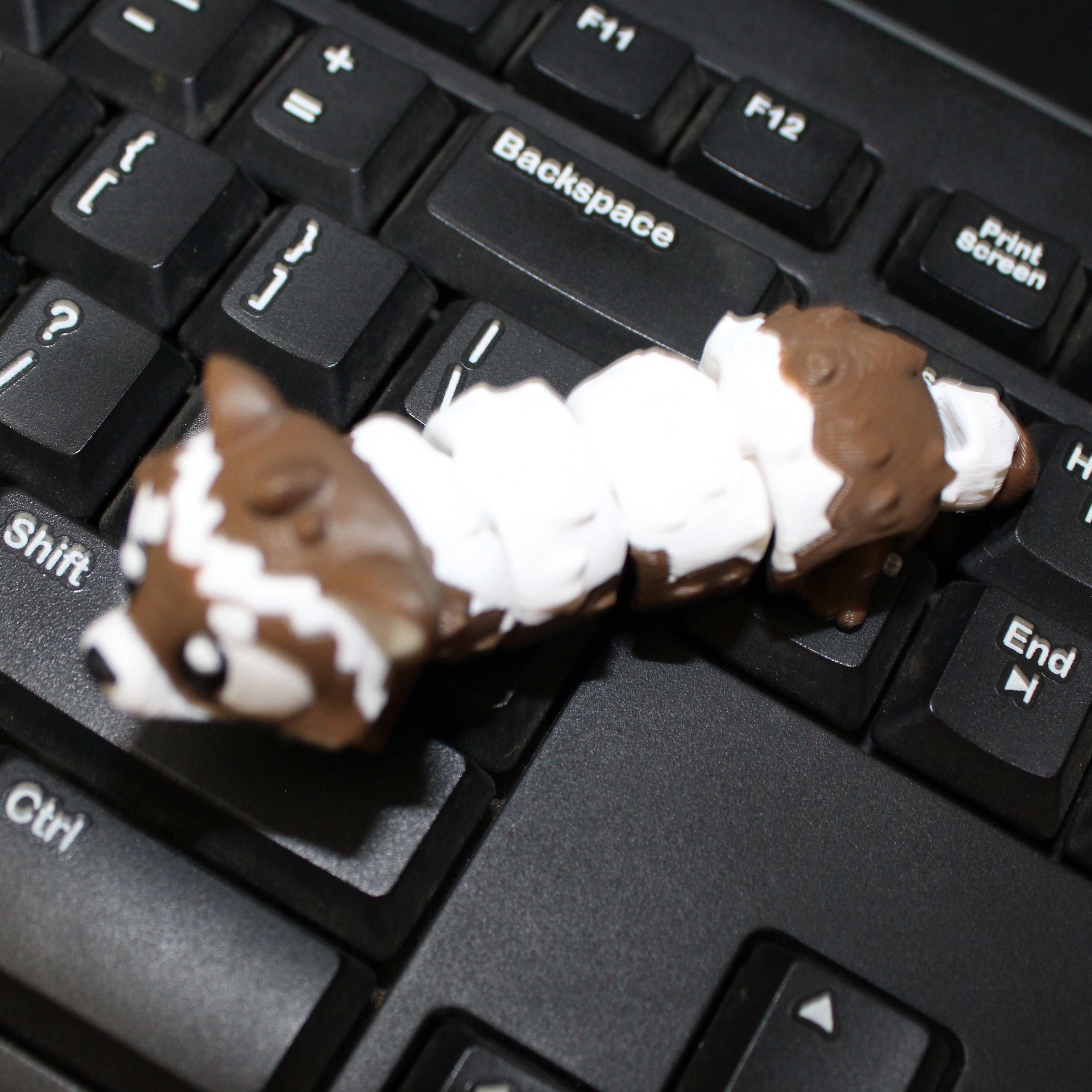 Feisty Ferret Fidget- 3d printed desk buddy