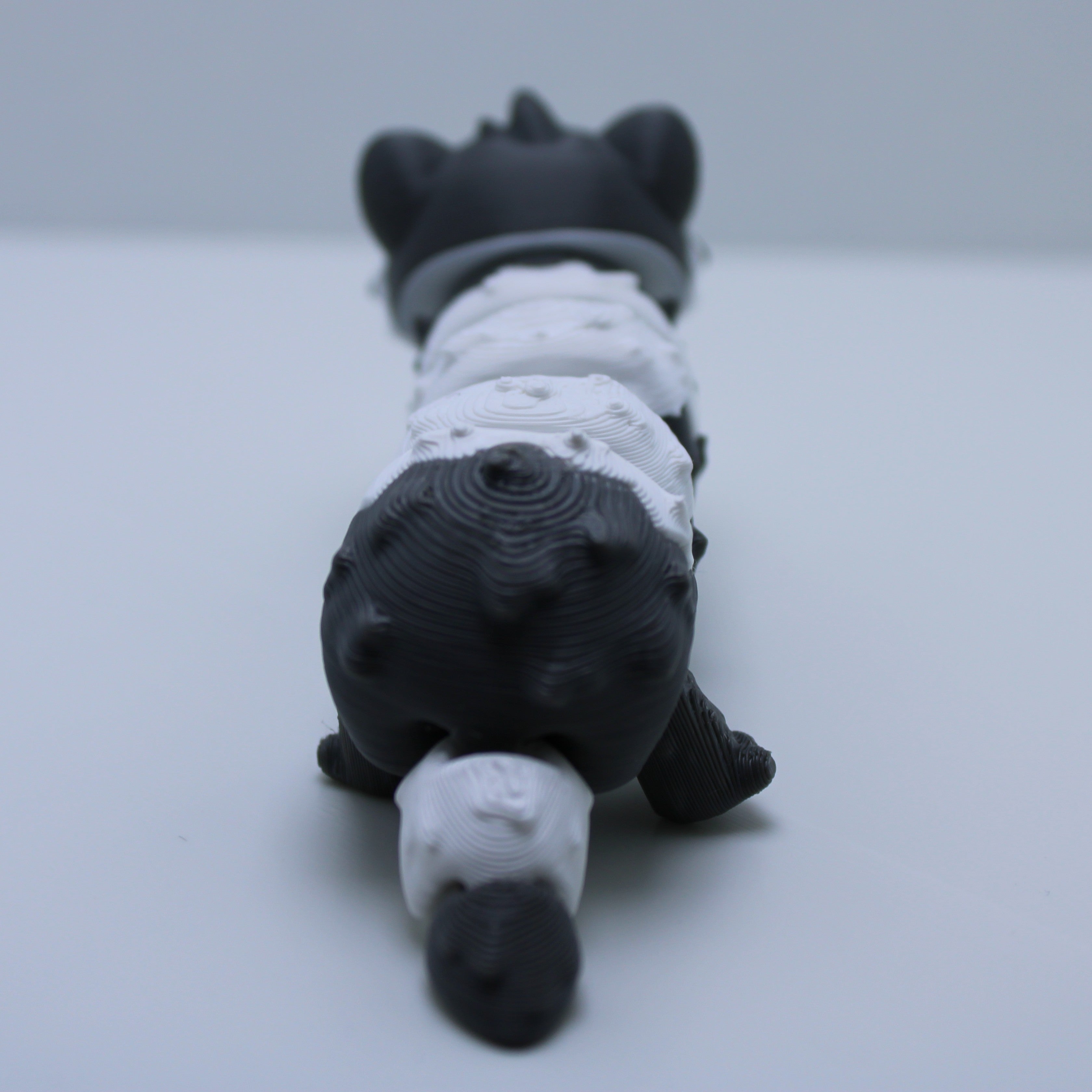 Feisty Ferret Fidget- 3d printed desk buddy