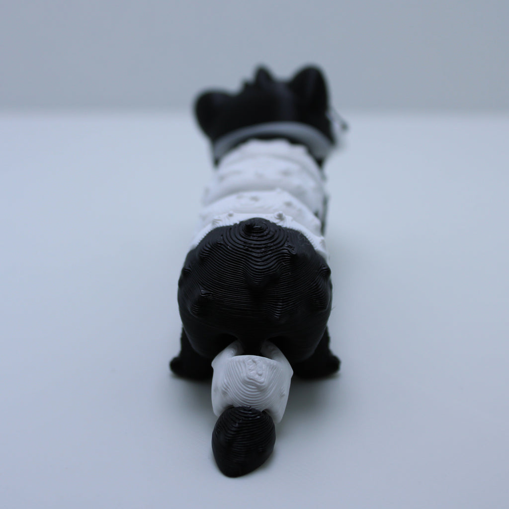 Feisty Ferret Fidget- 3d printed desk buddy