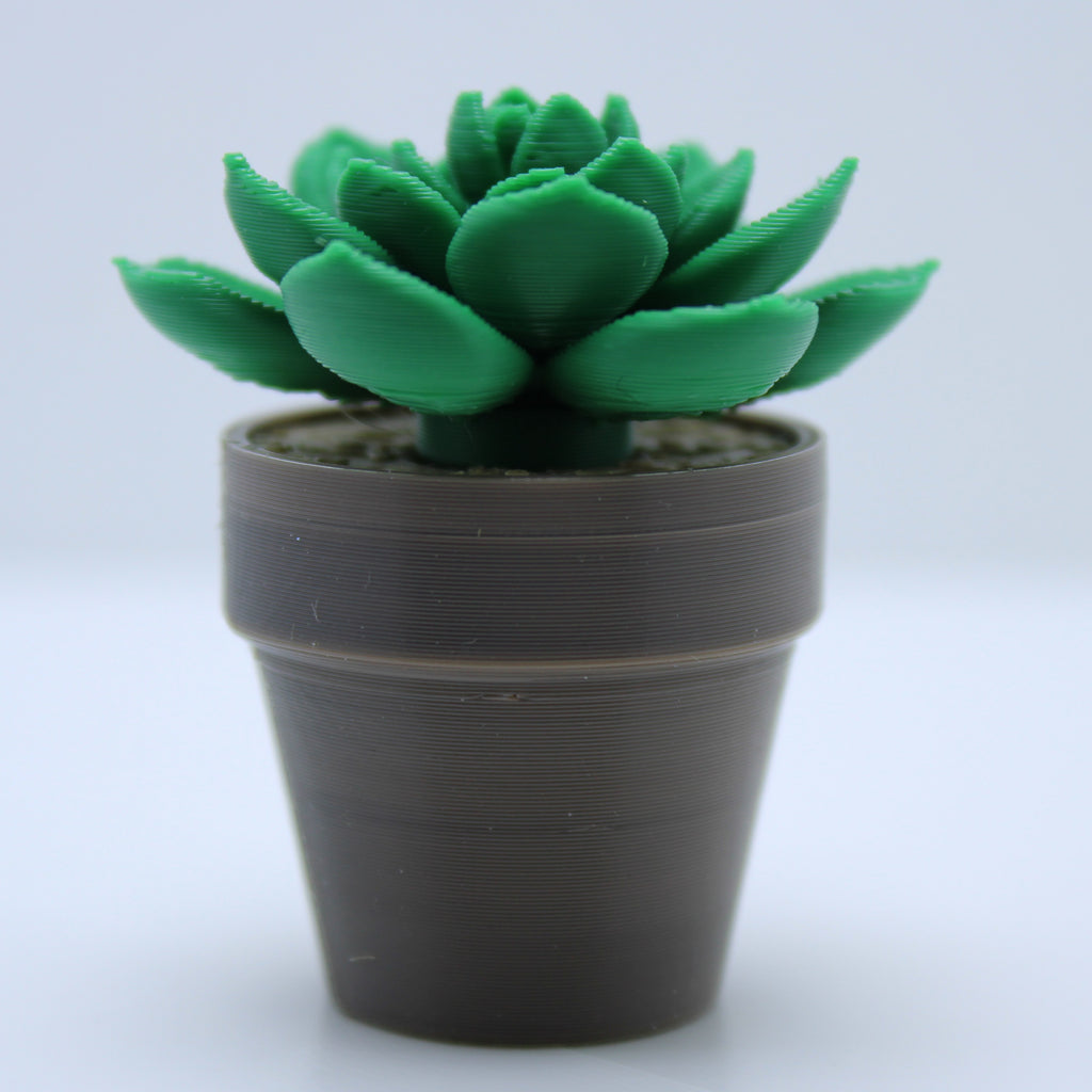 Succulent Spinners -3d printed spinner