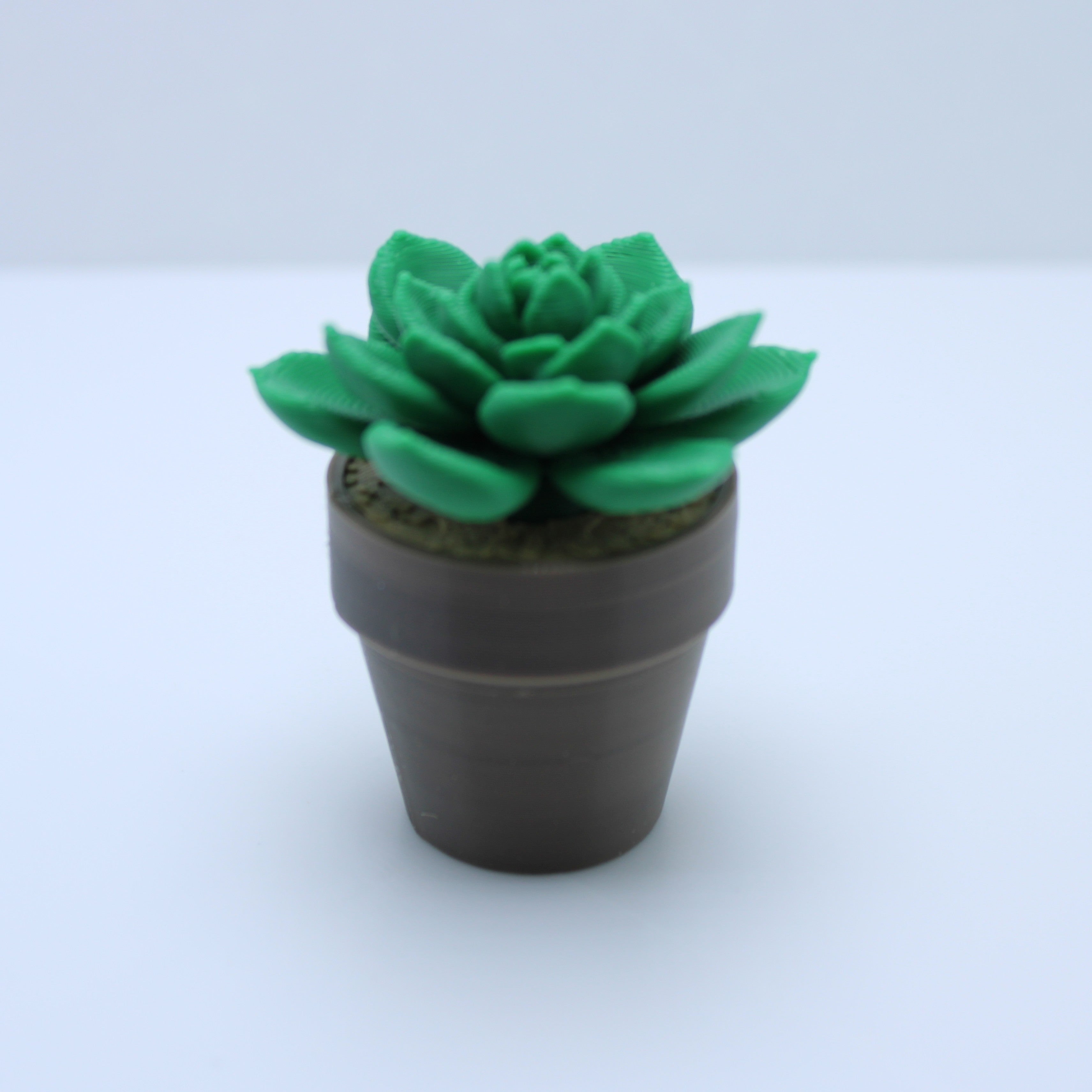 Succulent Spinners -3d printed spinner