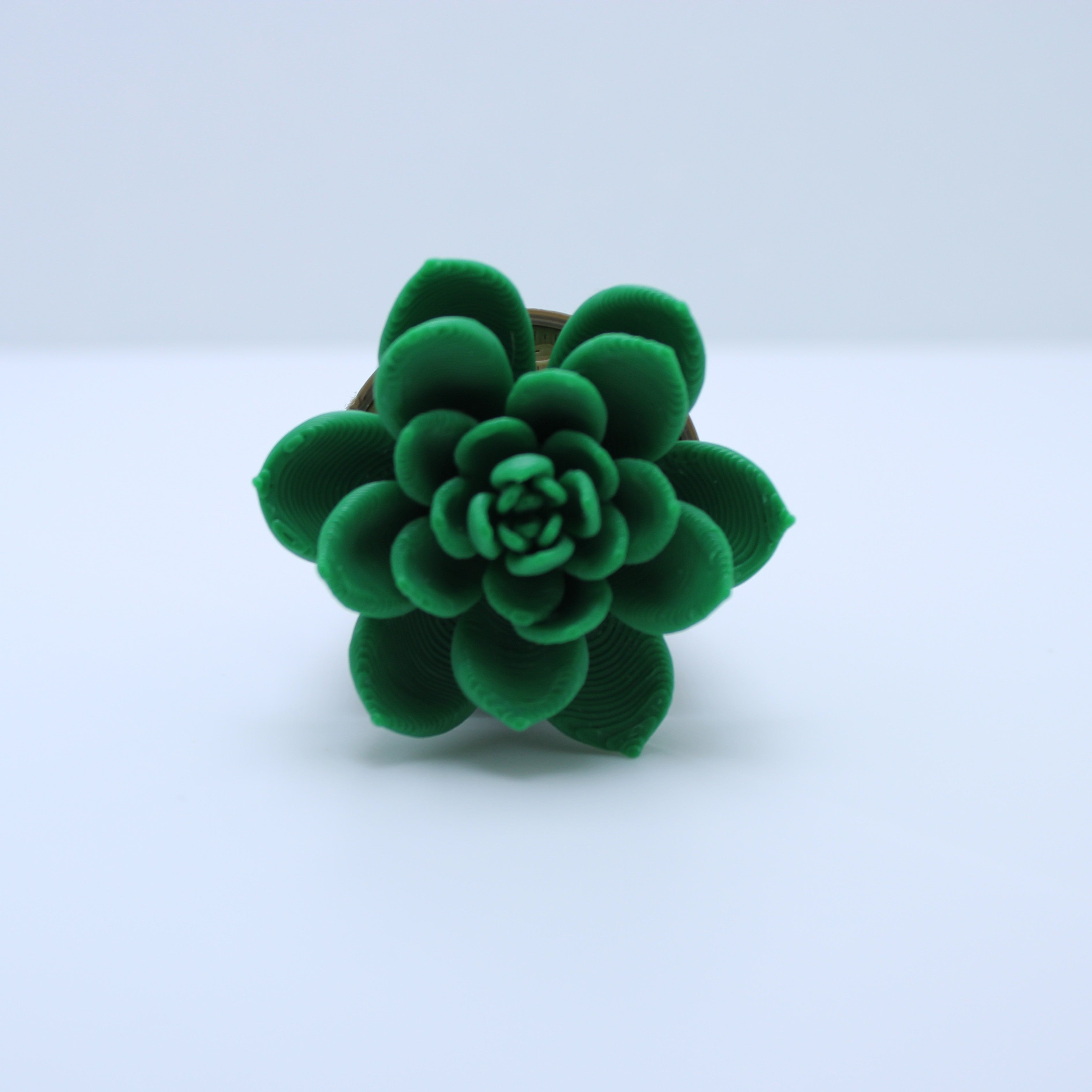 Succulent Spinners -3d printed spinner