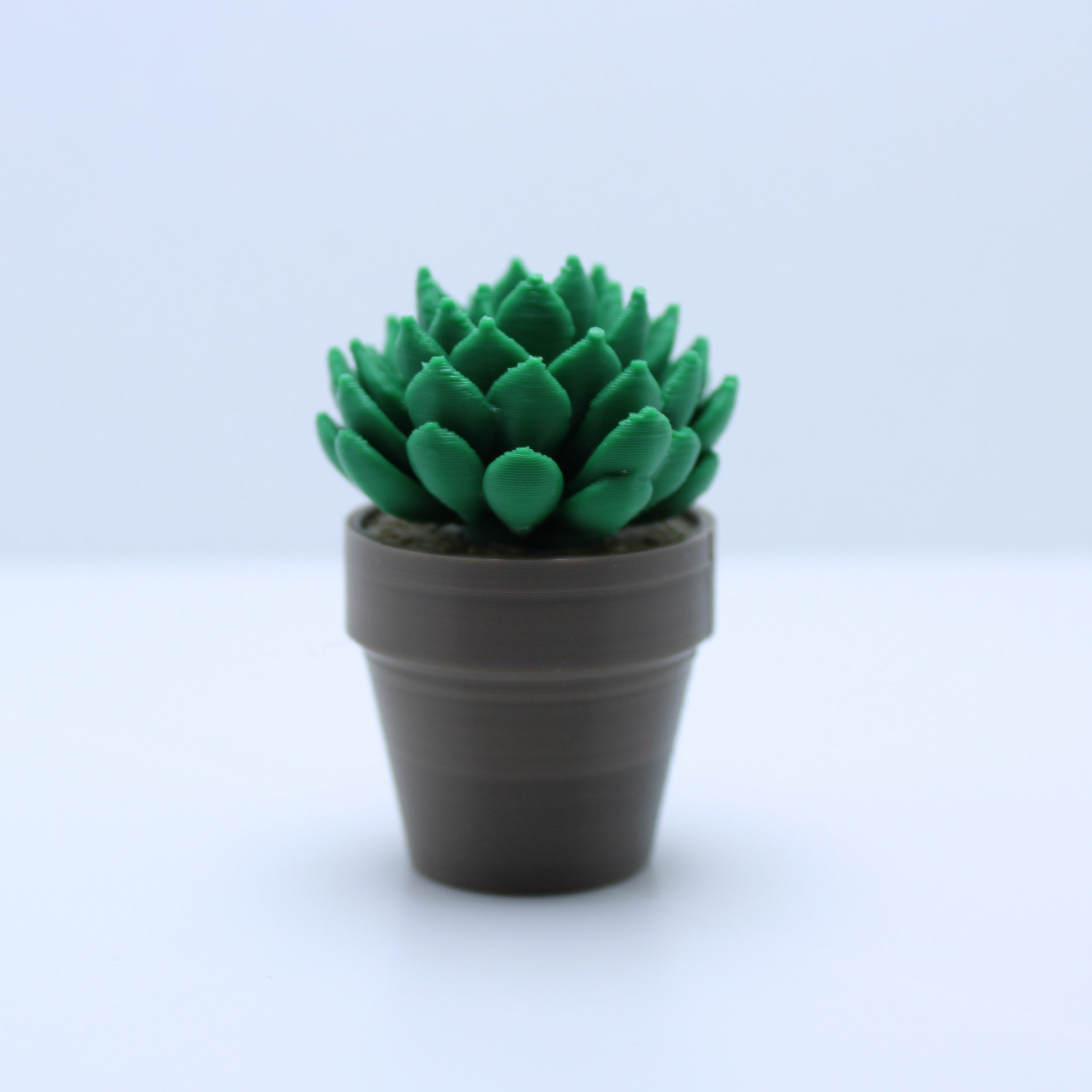Succulent Spinners -3d printed spinner