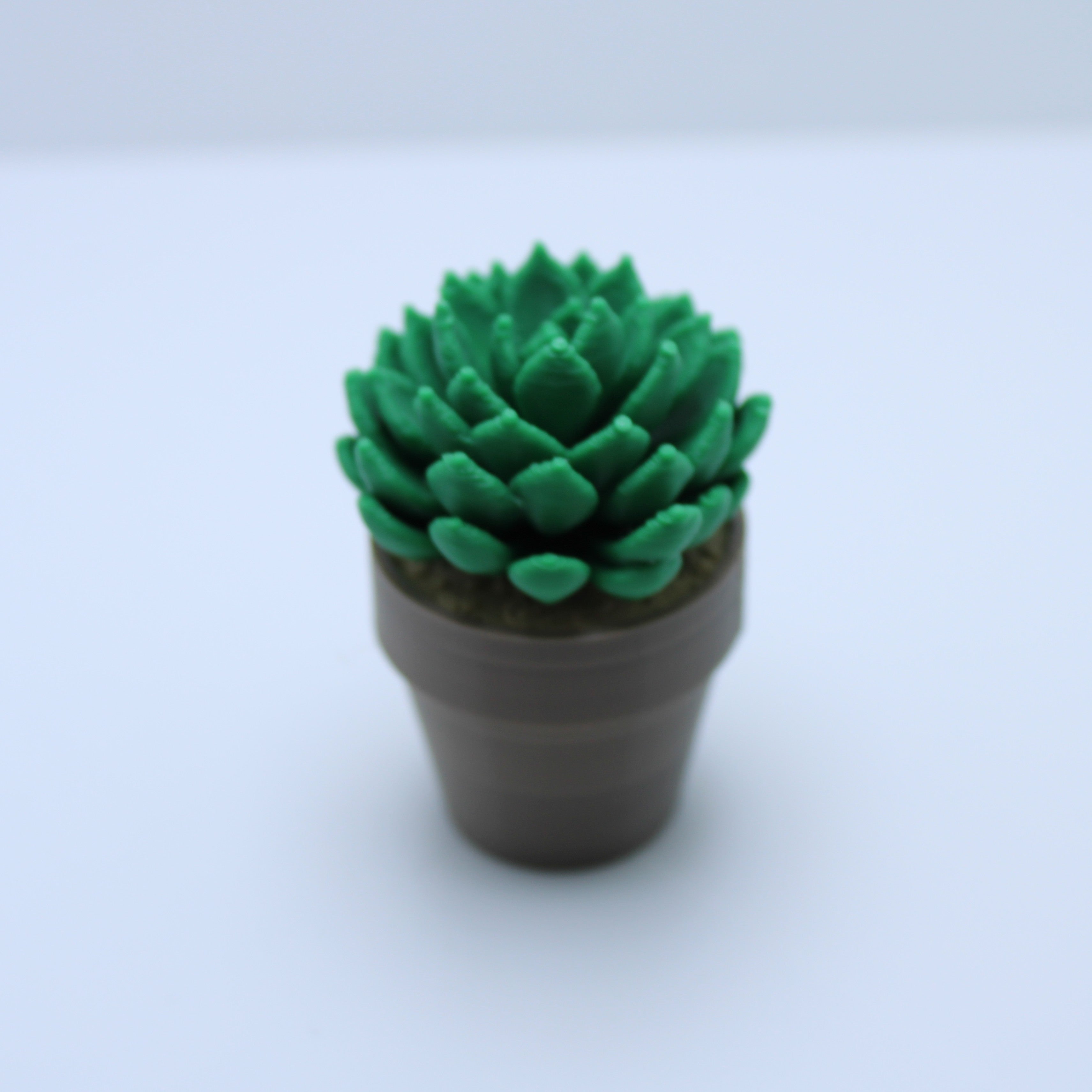 Succulent Spinners -3d printed spinner