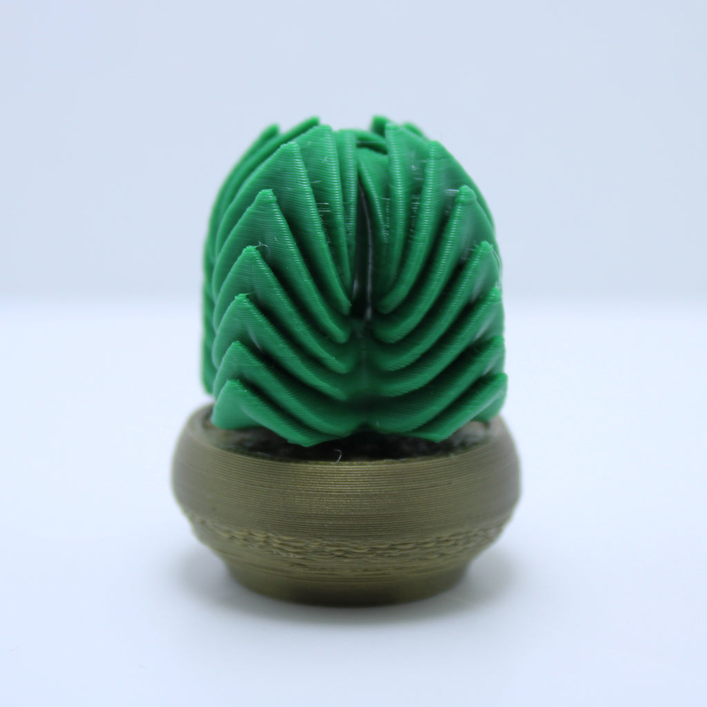 Succulent Spinners -3d printed spinner