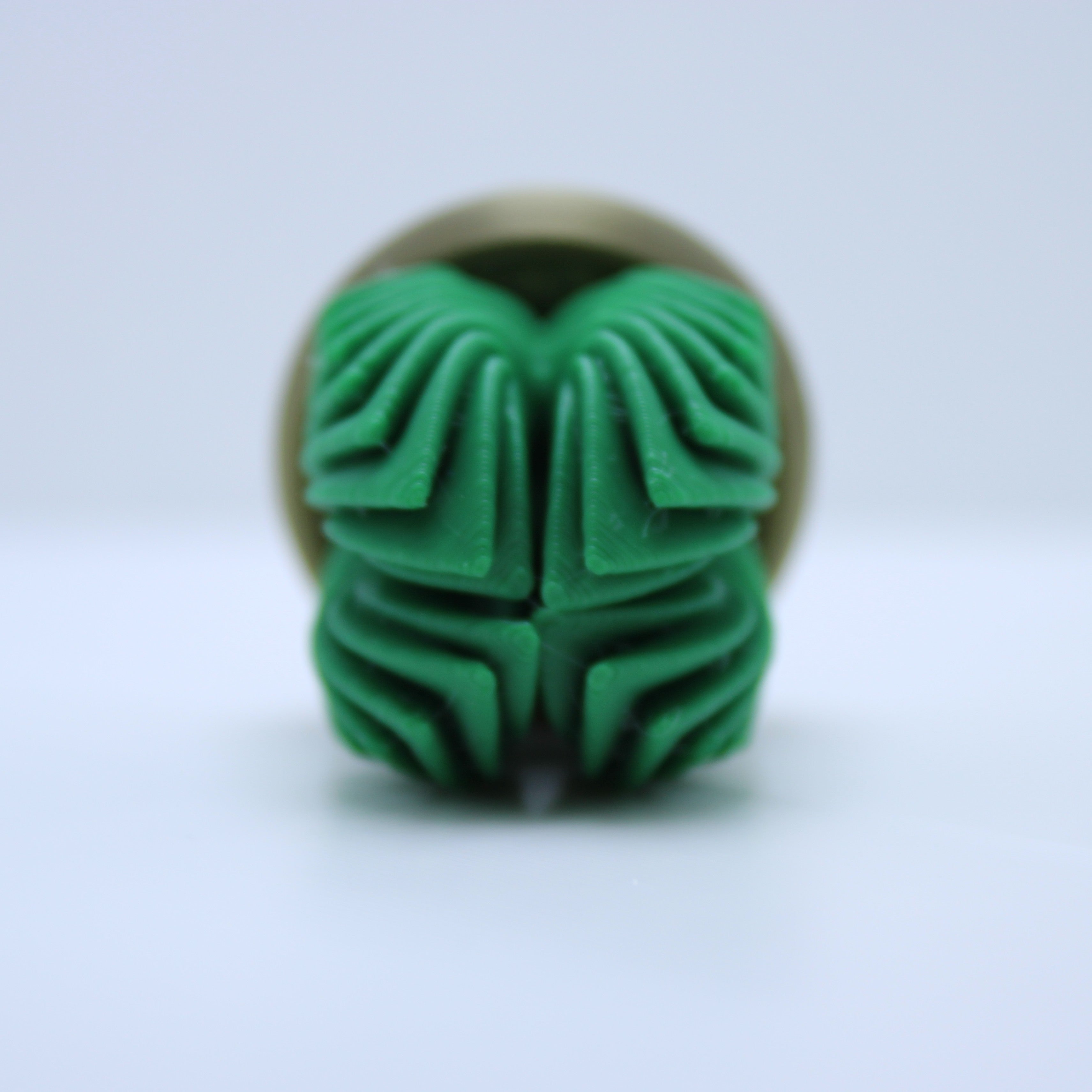 Succulent Spinners -3d printed spinner