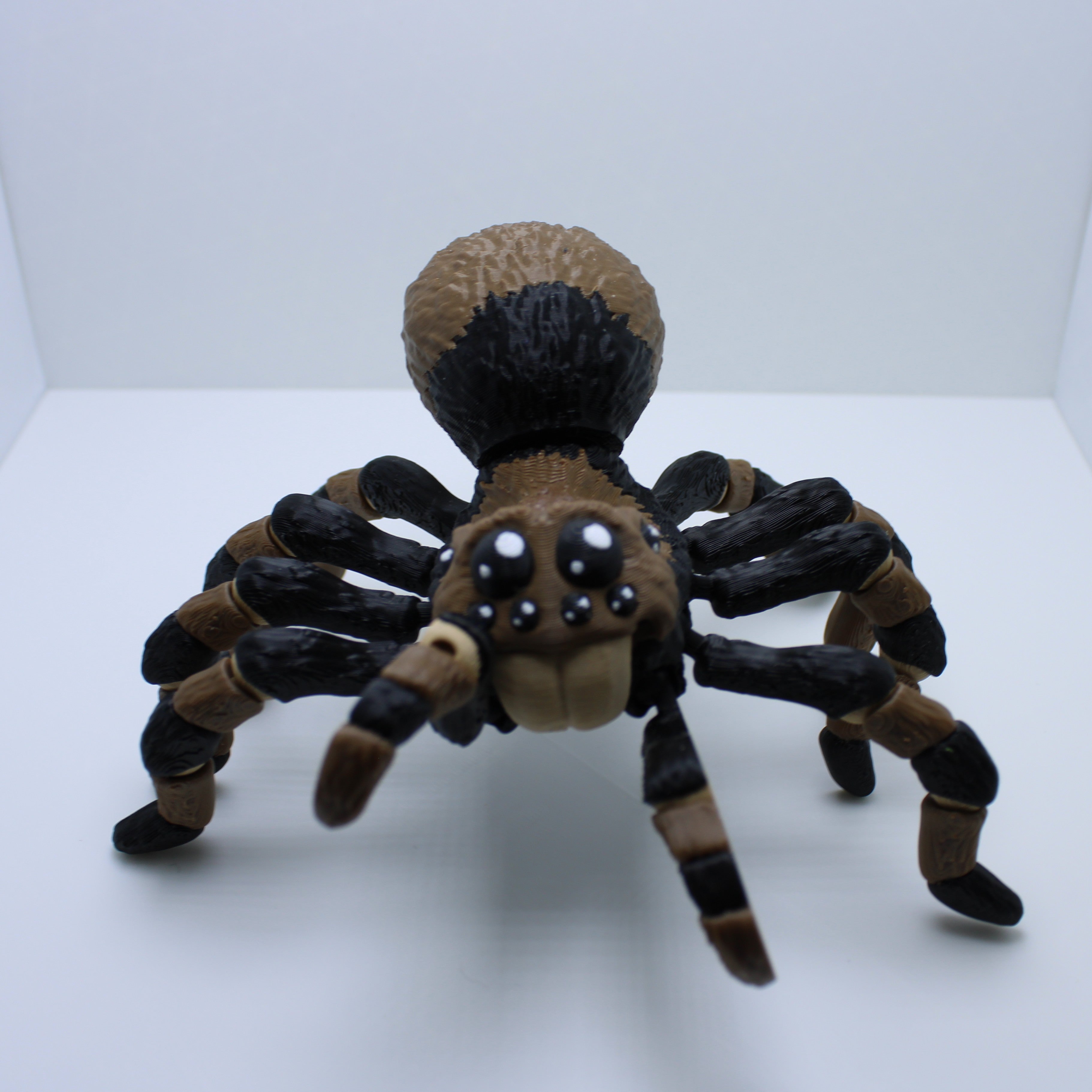 Terrifyingly Creepy Tarantula — 3D Printed Desk Companion