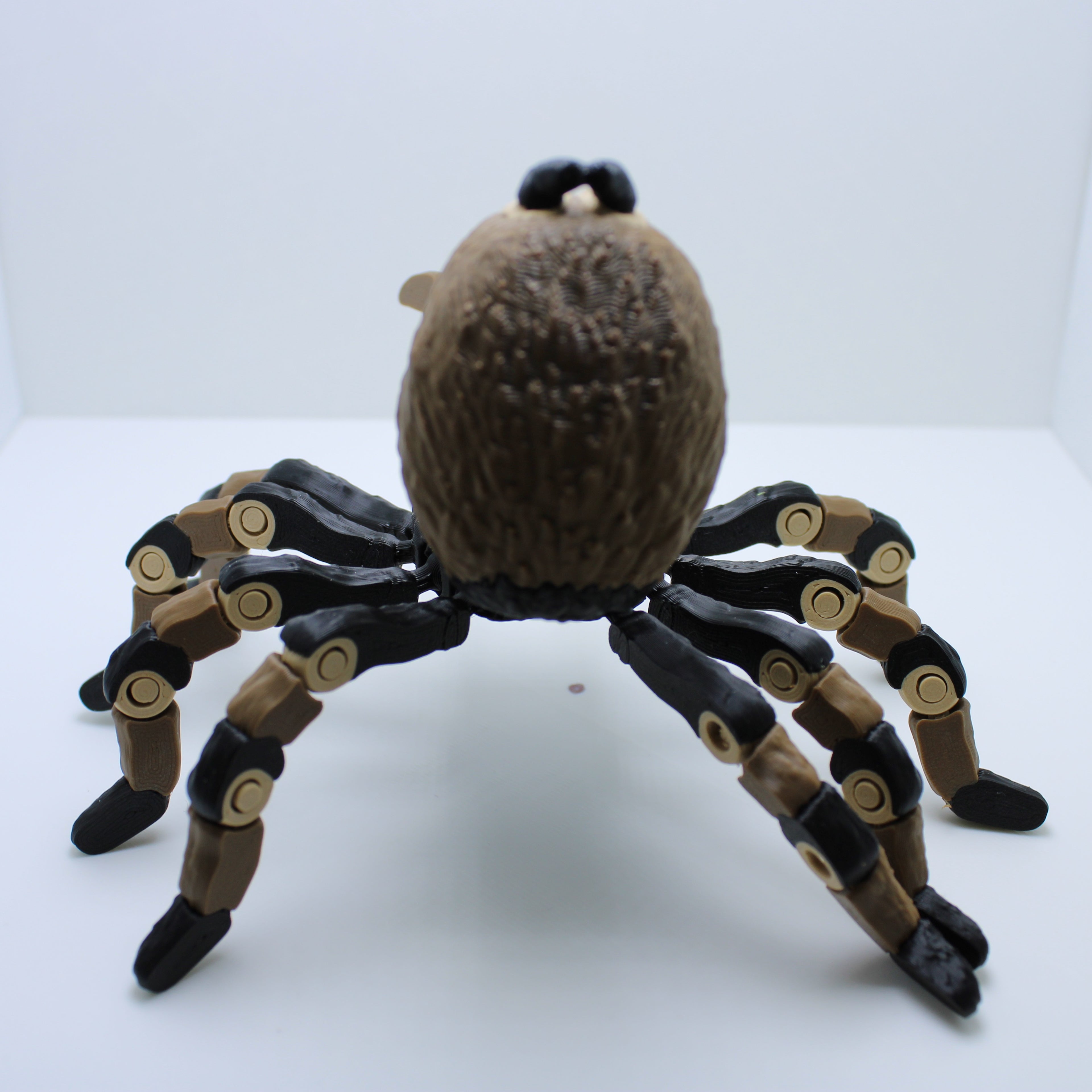 Terrifyingly Creepy Tarantula — 3D Printed Desk Companion