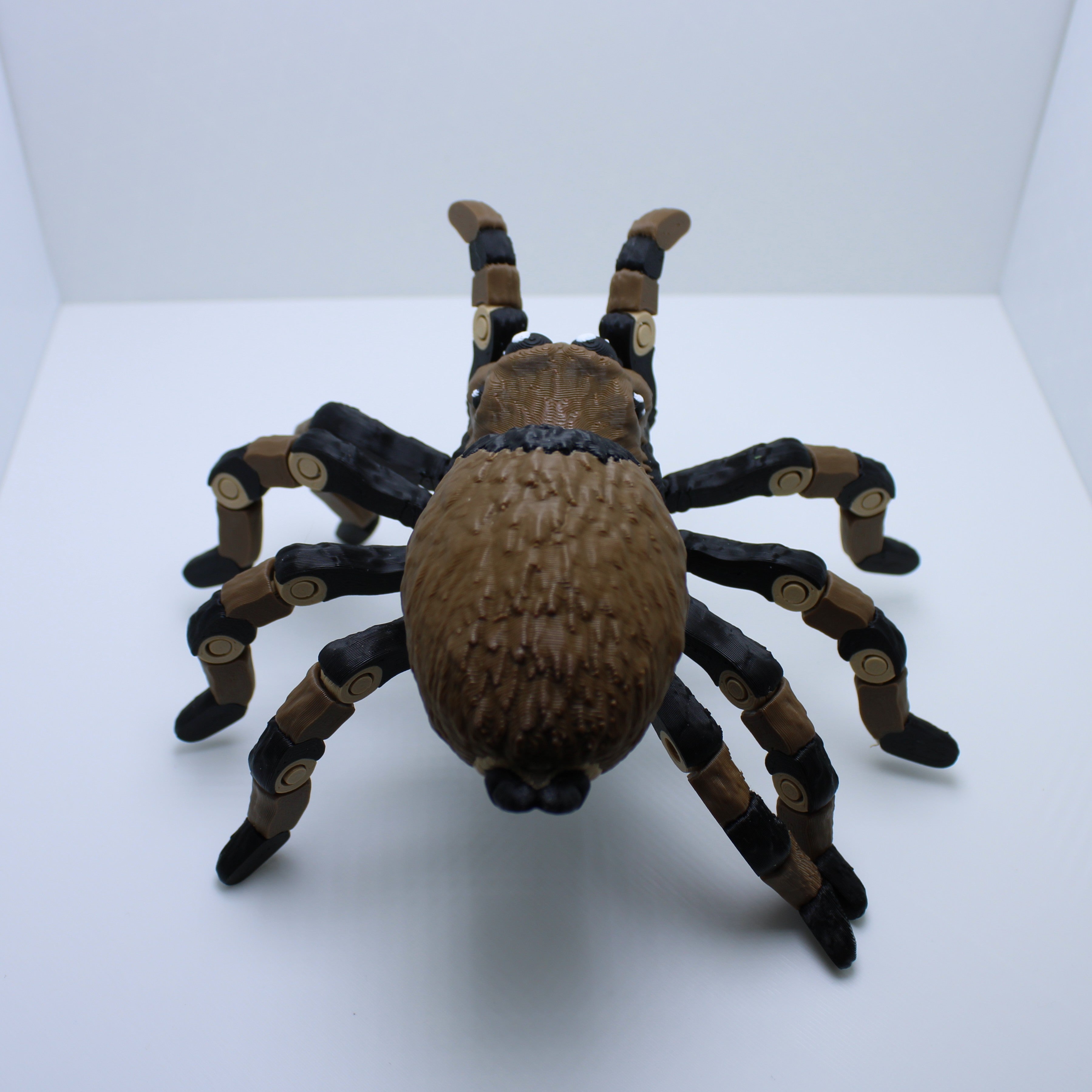 Terrifyingly Creepy Tarantula — 3D Printed Desk Companion