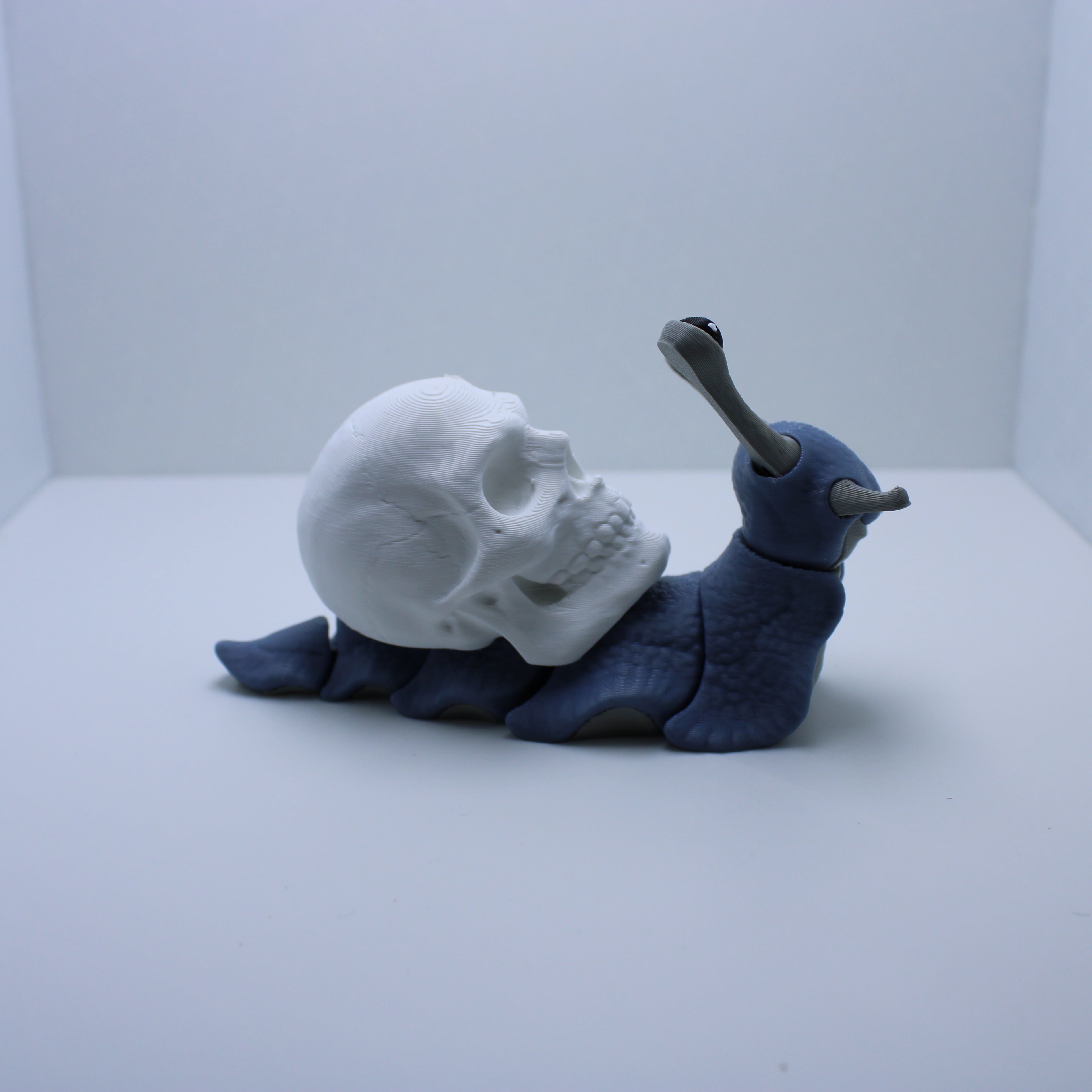 Sweet Snail Fidget  – 3d Printed Desk Companion
