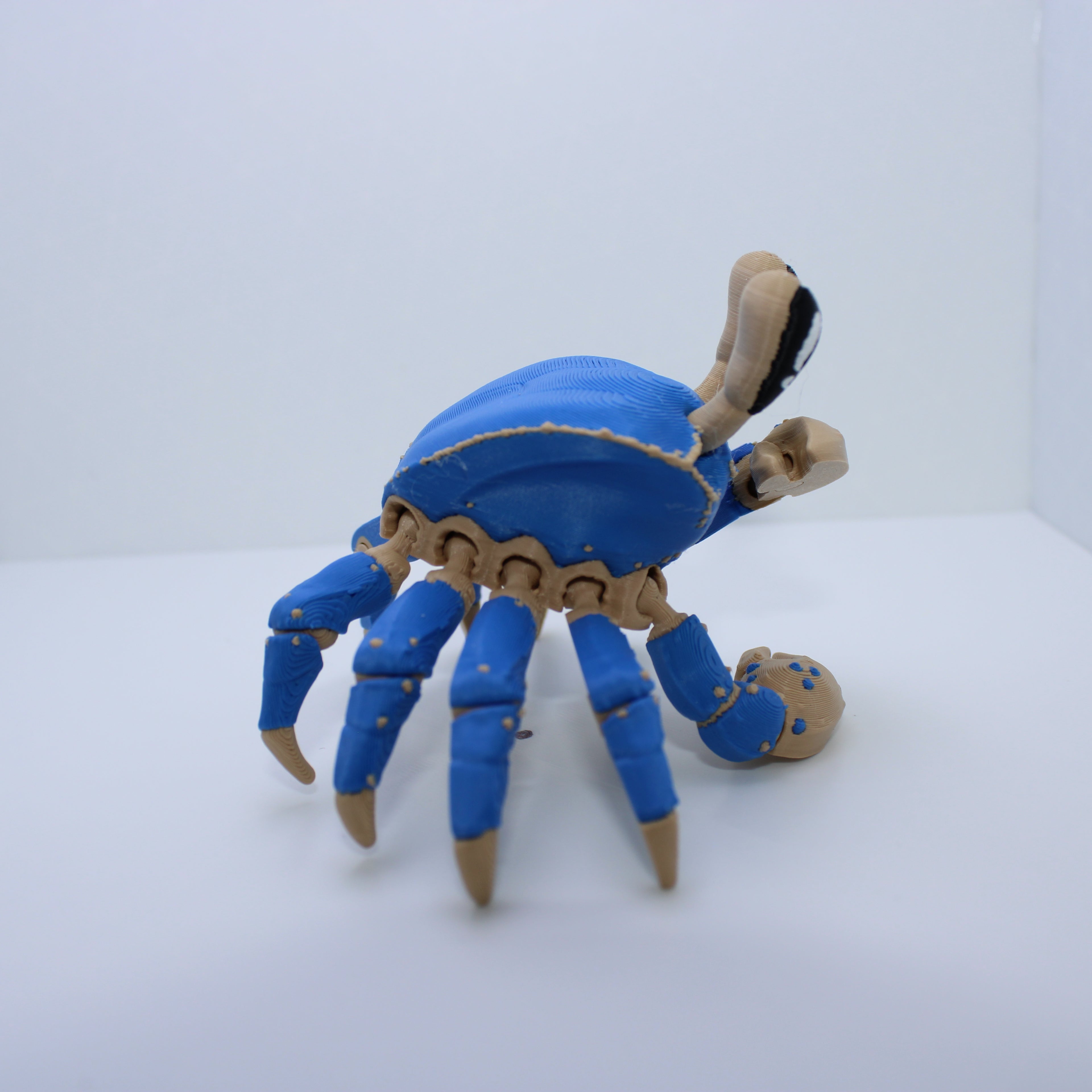 “Gus” the Ghost Crab-3d Printed Desk Companion