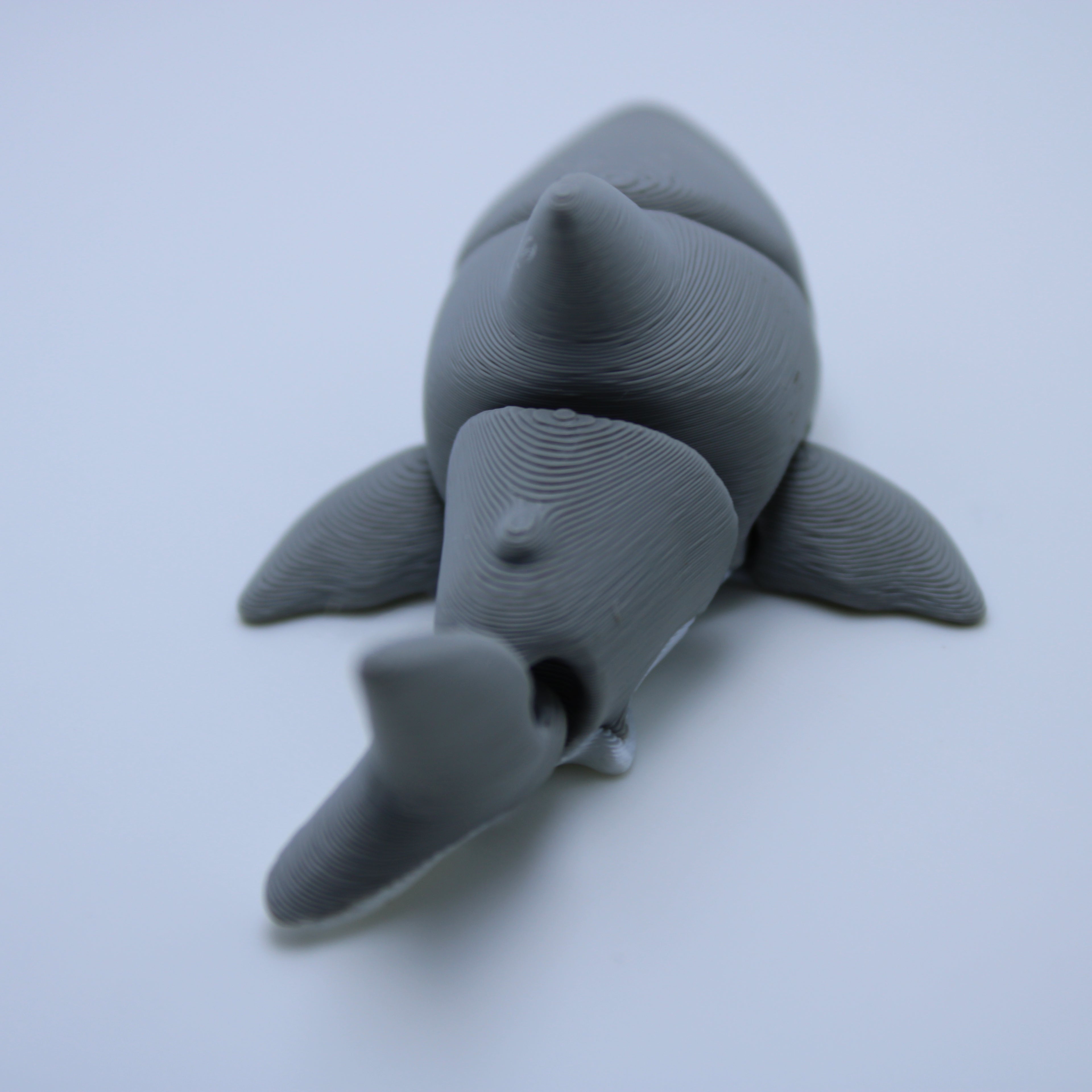 “Chaotic Chomper" Shark Fidgets -3d Printed Desk Buddies & Keychains (variations available)