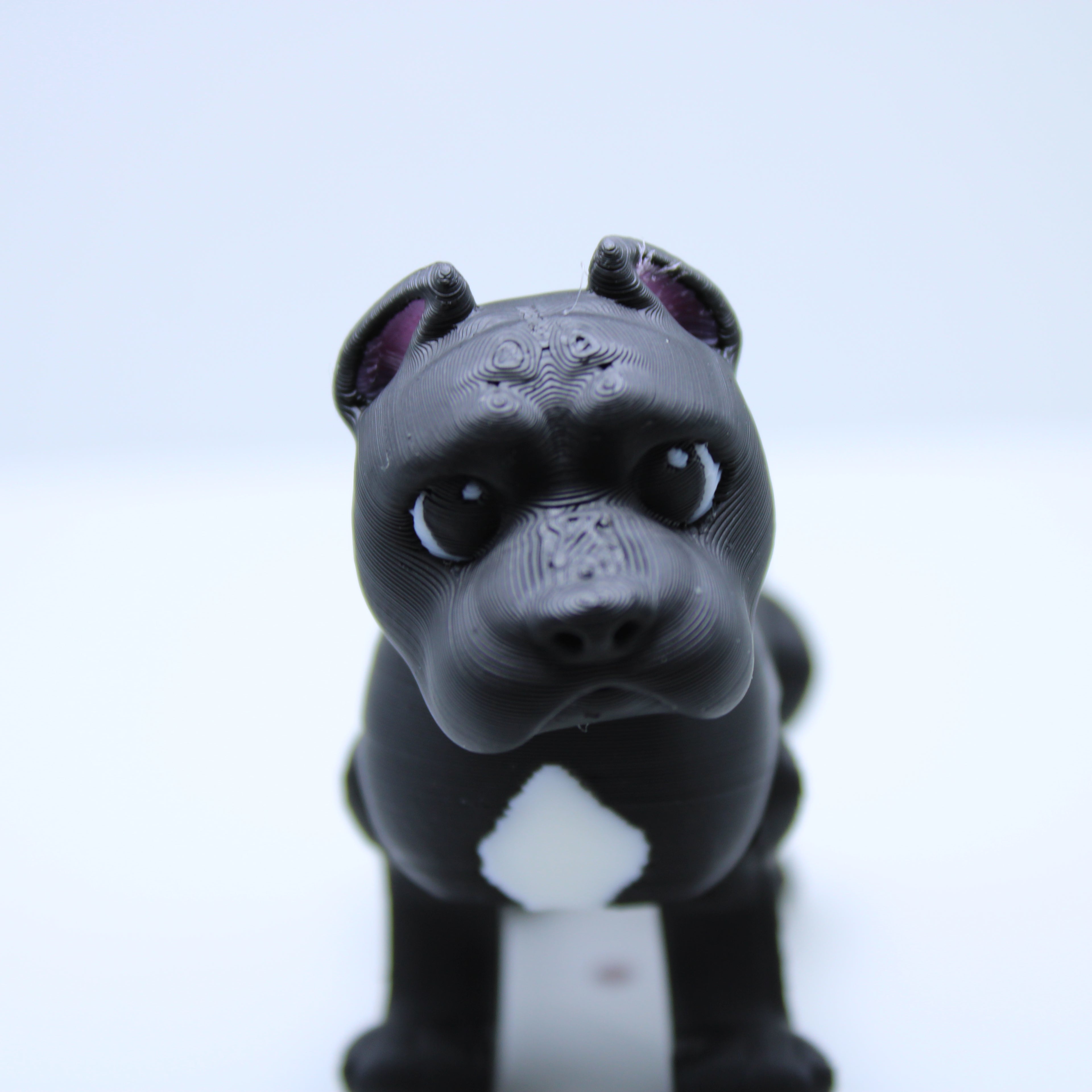 “Champ” the Cane Corso -3d printed desk buddy