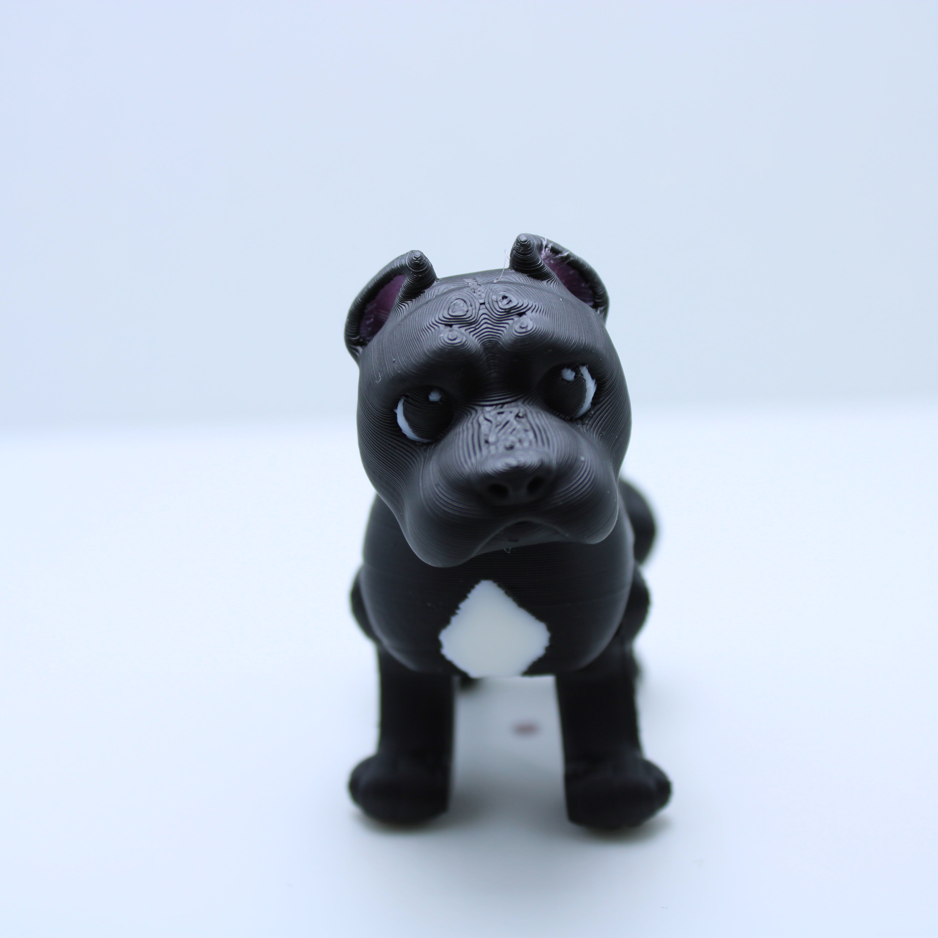 “Champ” the Cane Corso -3d printed desk buddy