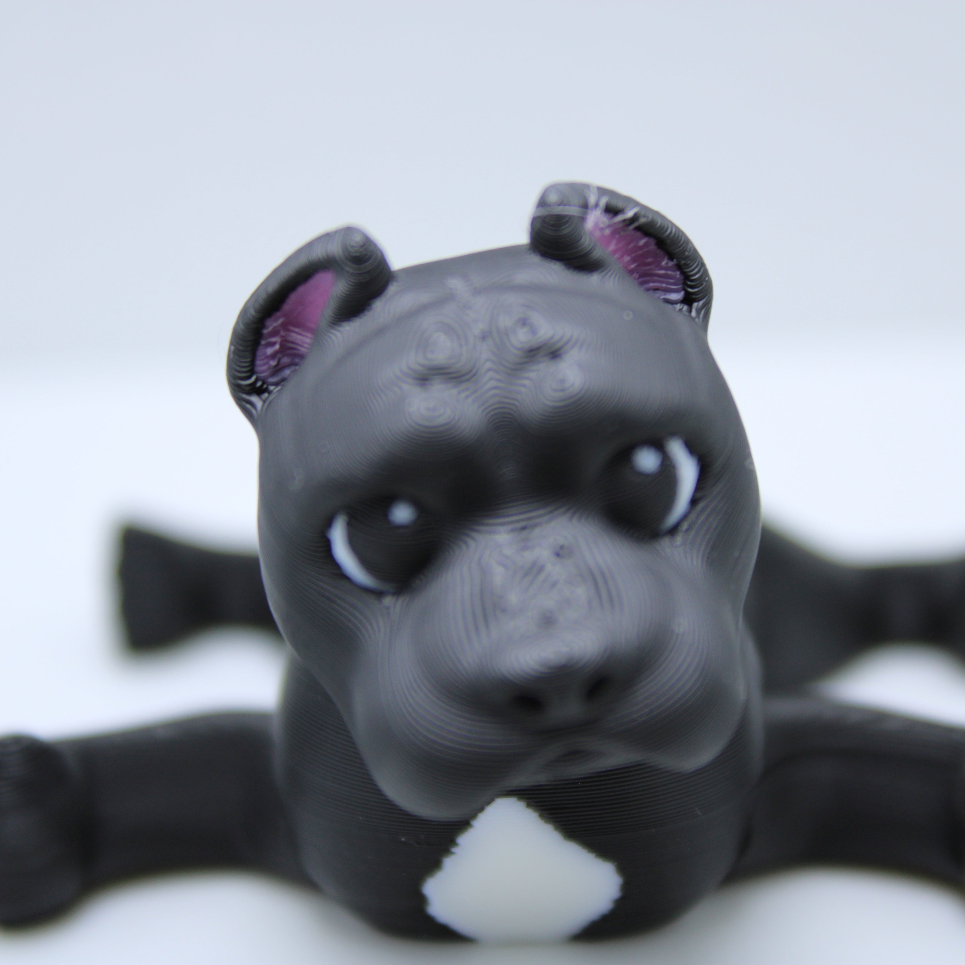 “Champ” the Cane Corso -3d printed desk buddy