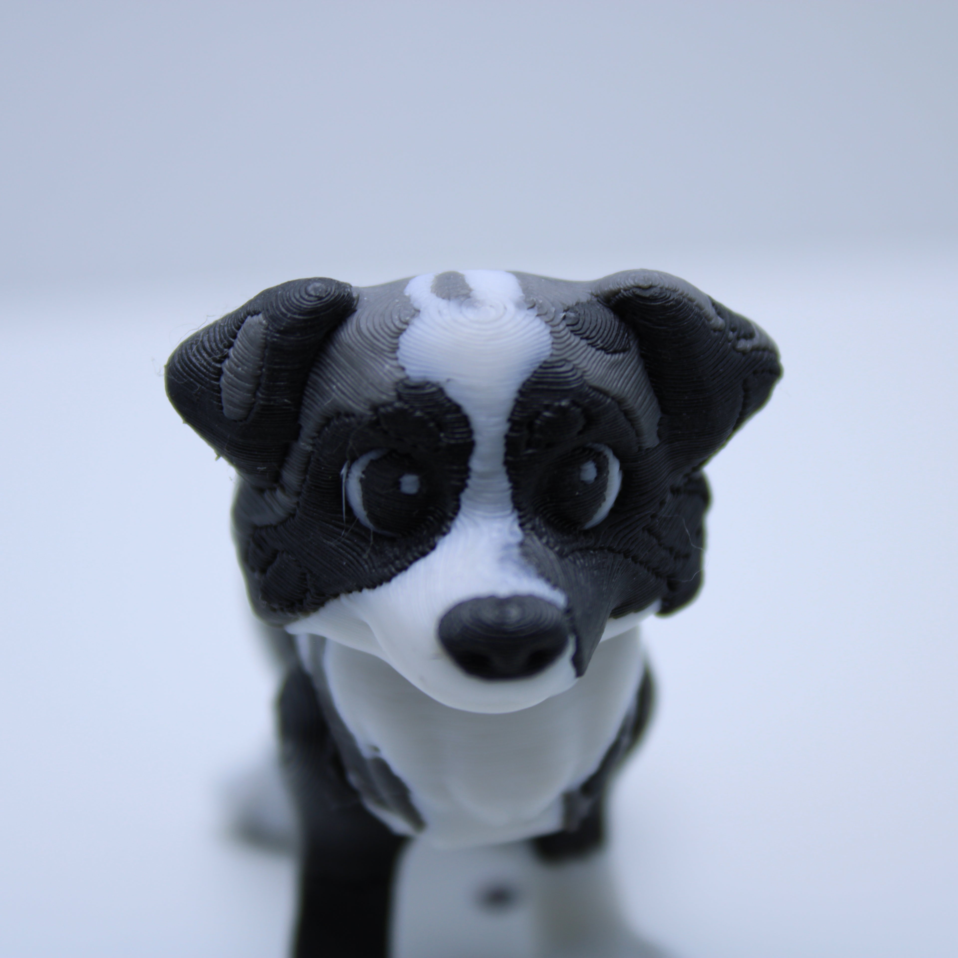 “Espresso” the Australian Shepherd -3d printed desk buddy