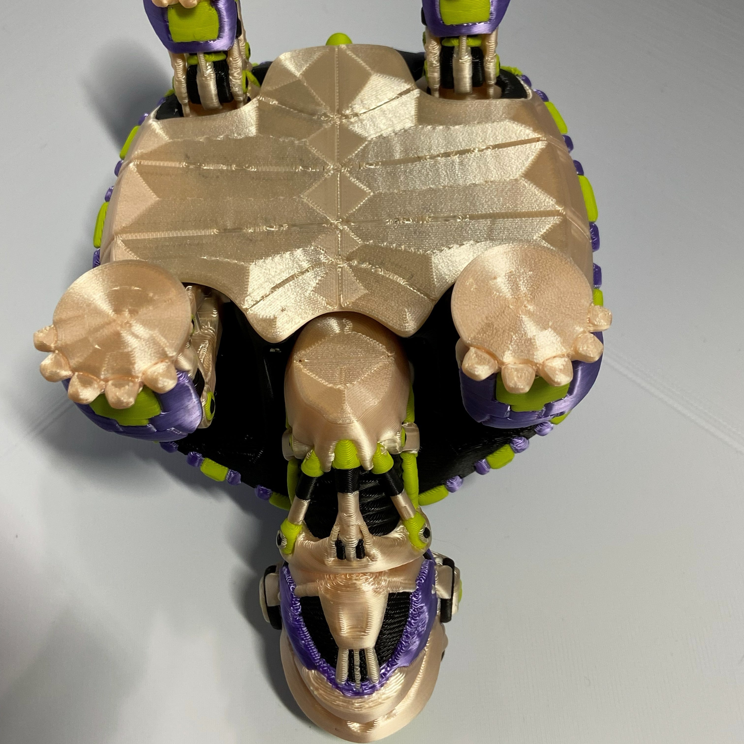 “Tilly” the shy Robotic Tortoise Fidget- 3d Printed Desk Companion