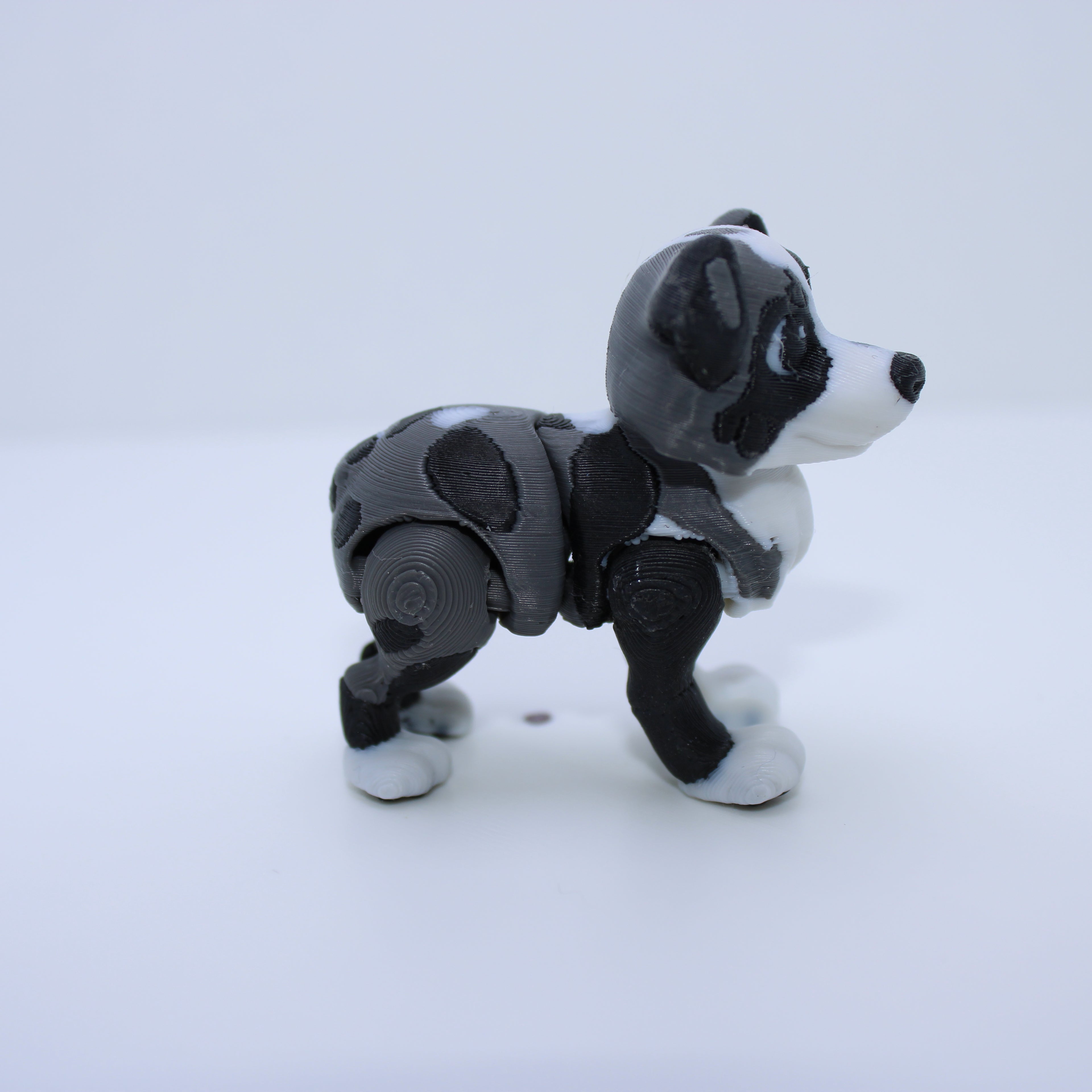 “Espresso” the Australian Shepherd -3d printed desk buddy