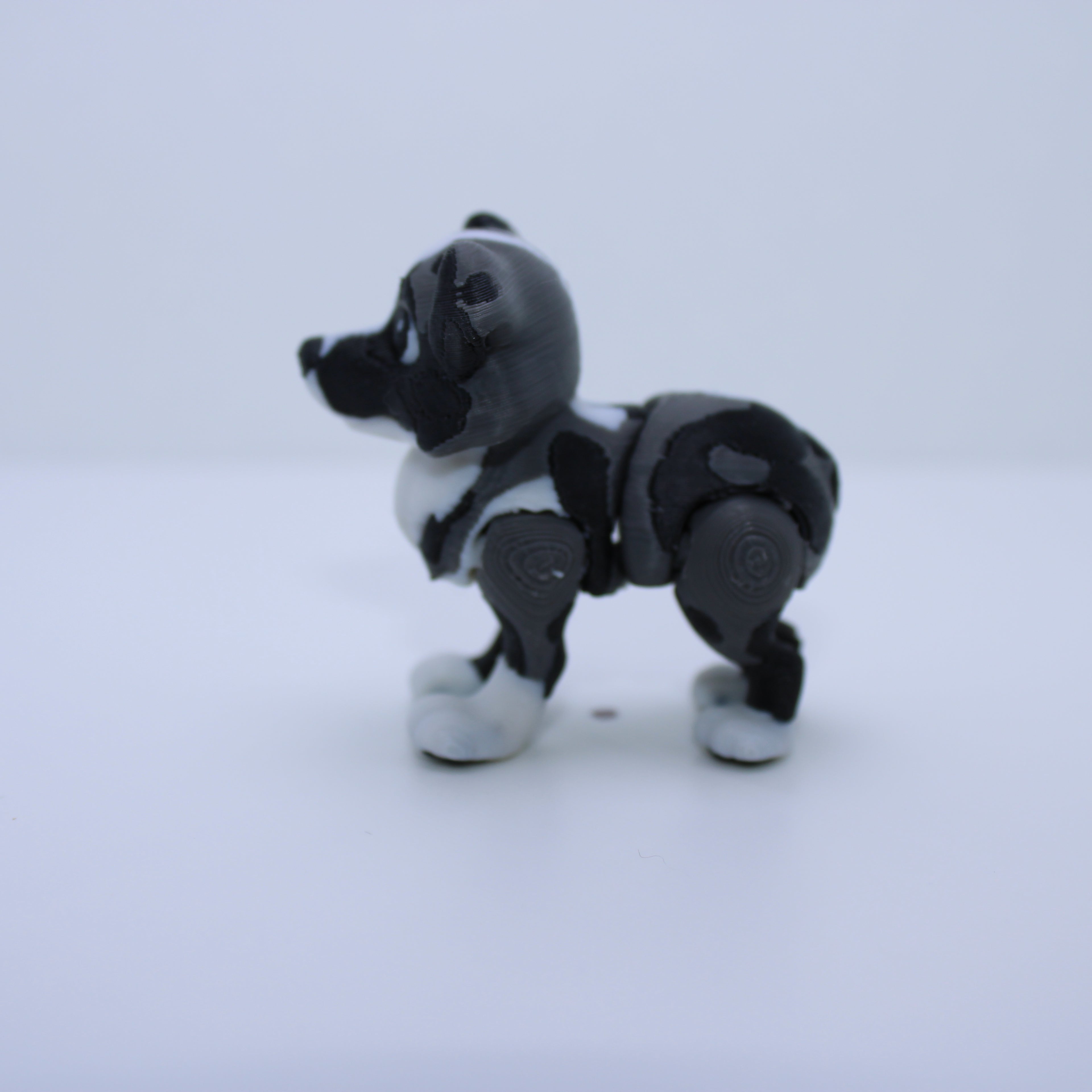 “Espresso” the Australian Shepherd -3d printed desk buddy