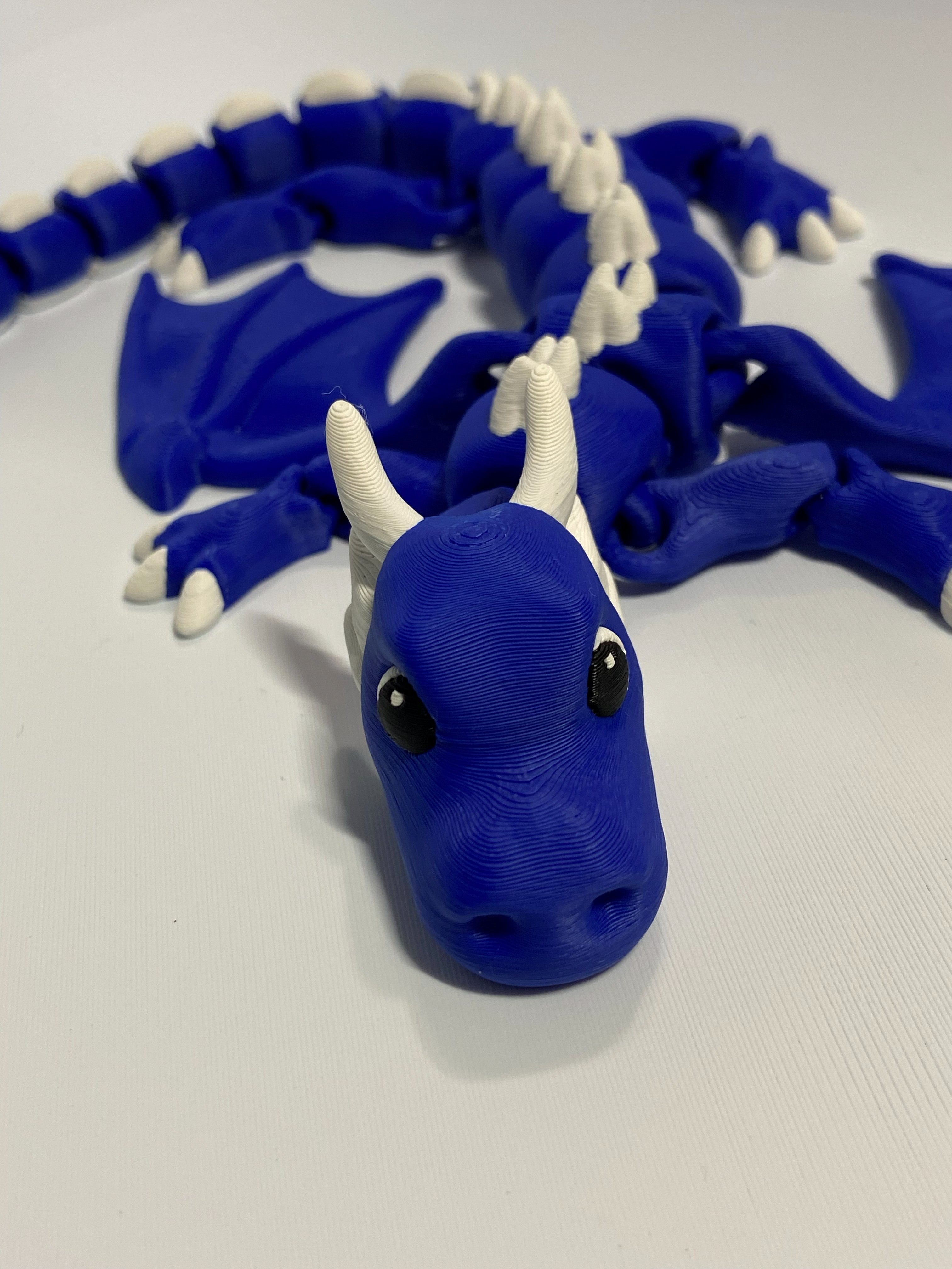 Magnetic Water Dragon