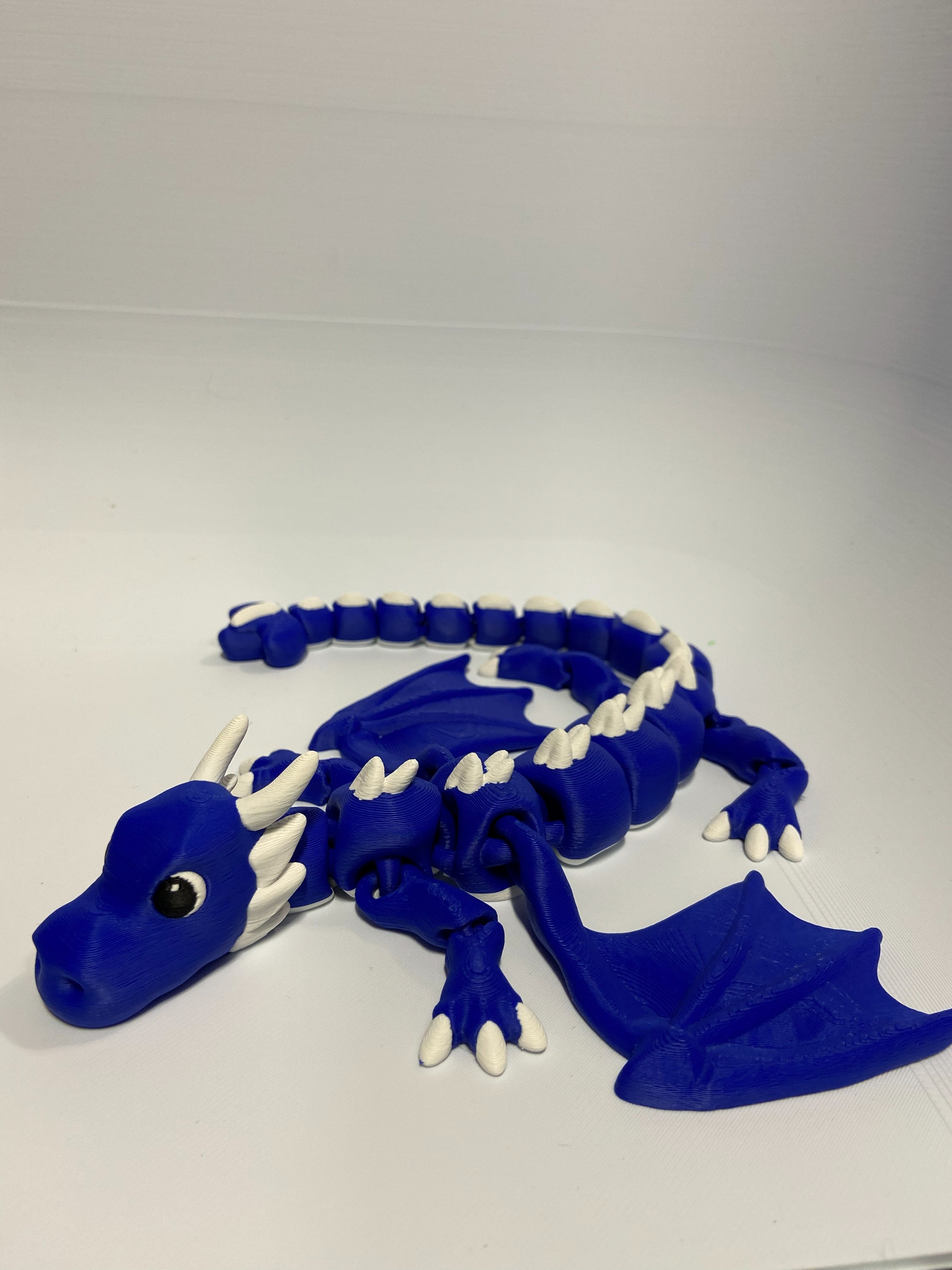 Magnetic Water Dragon