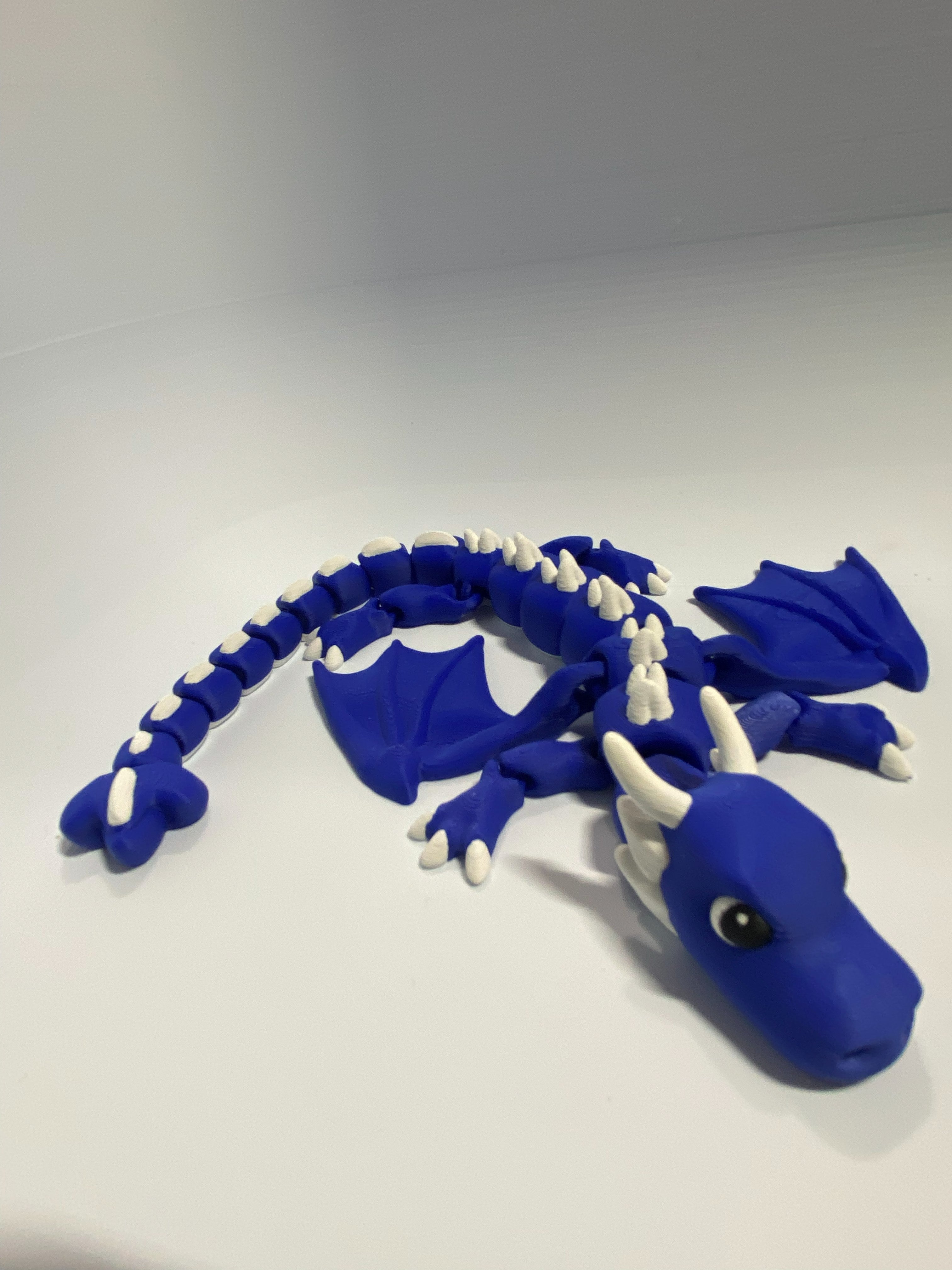 Magnetic Water Dragon
