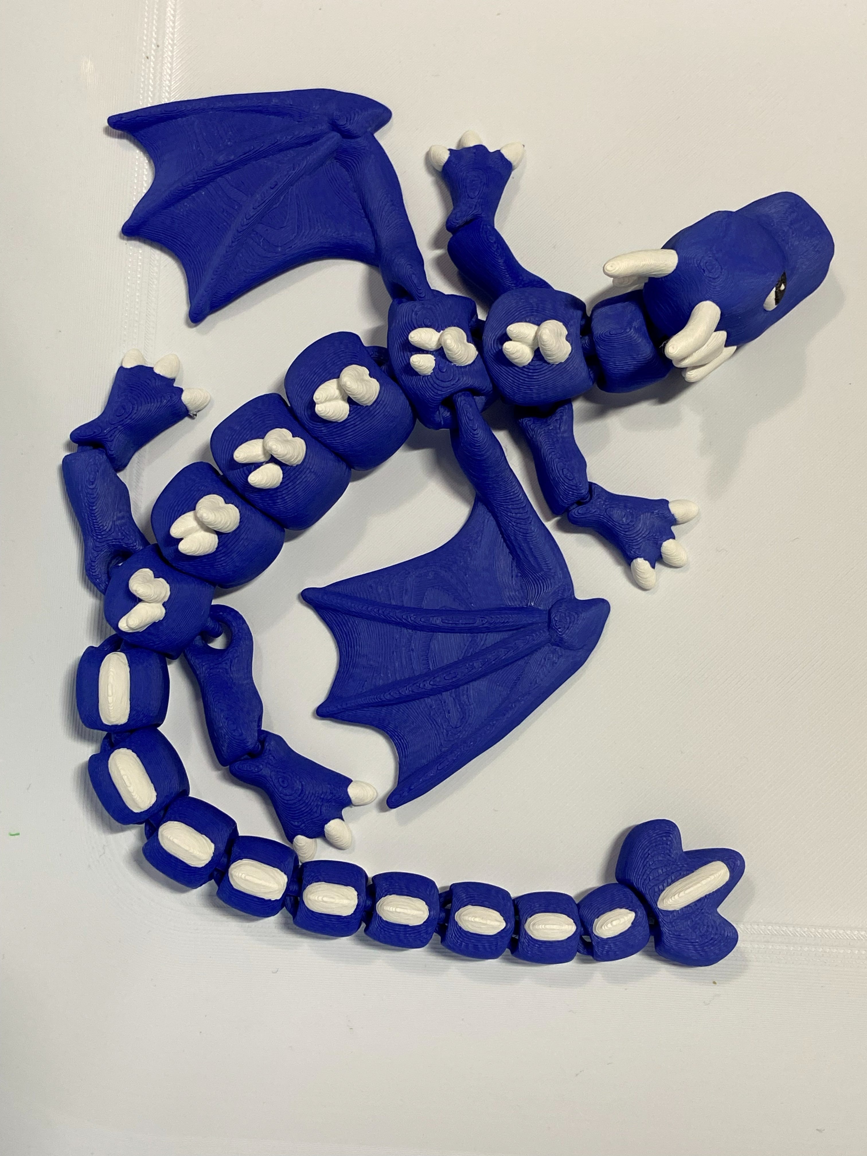 Magnetic Water Dragon