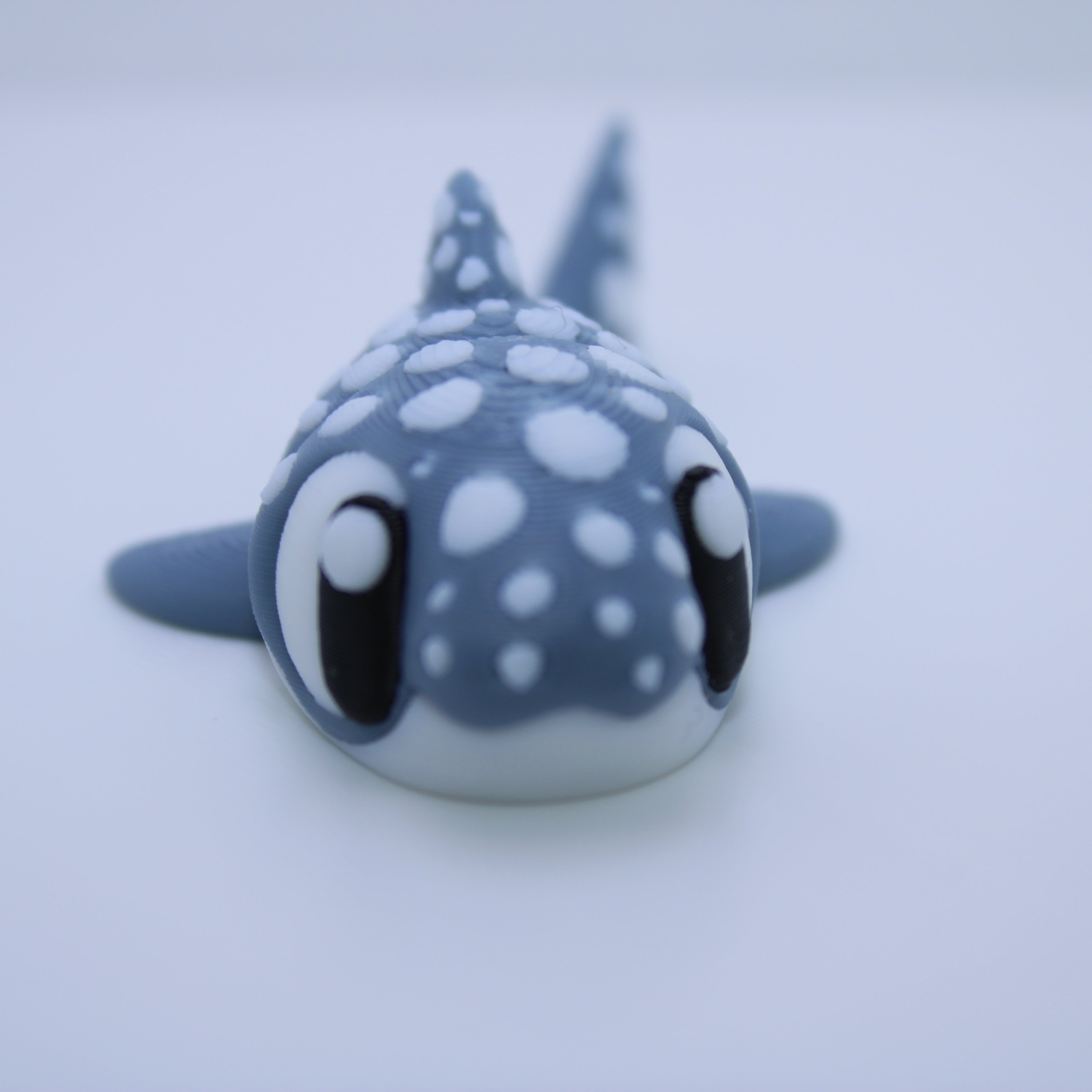 Shipwreck Aquarium Display (with or without sharks and whale) -3d printed desk companion