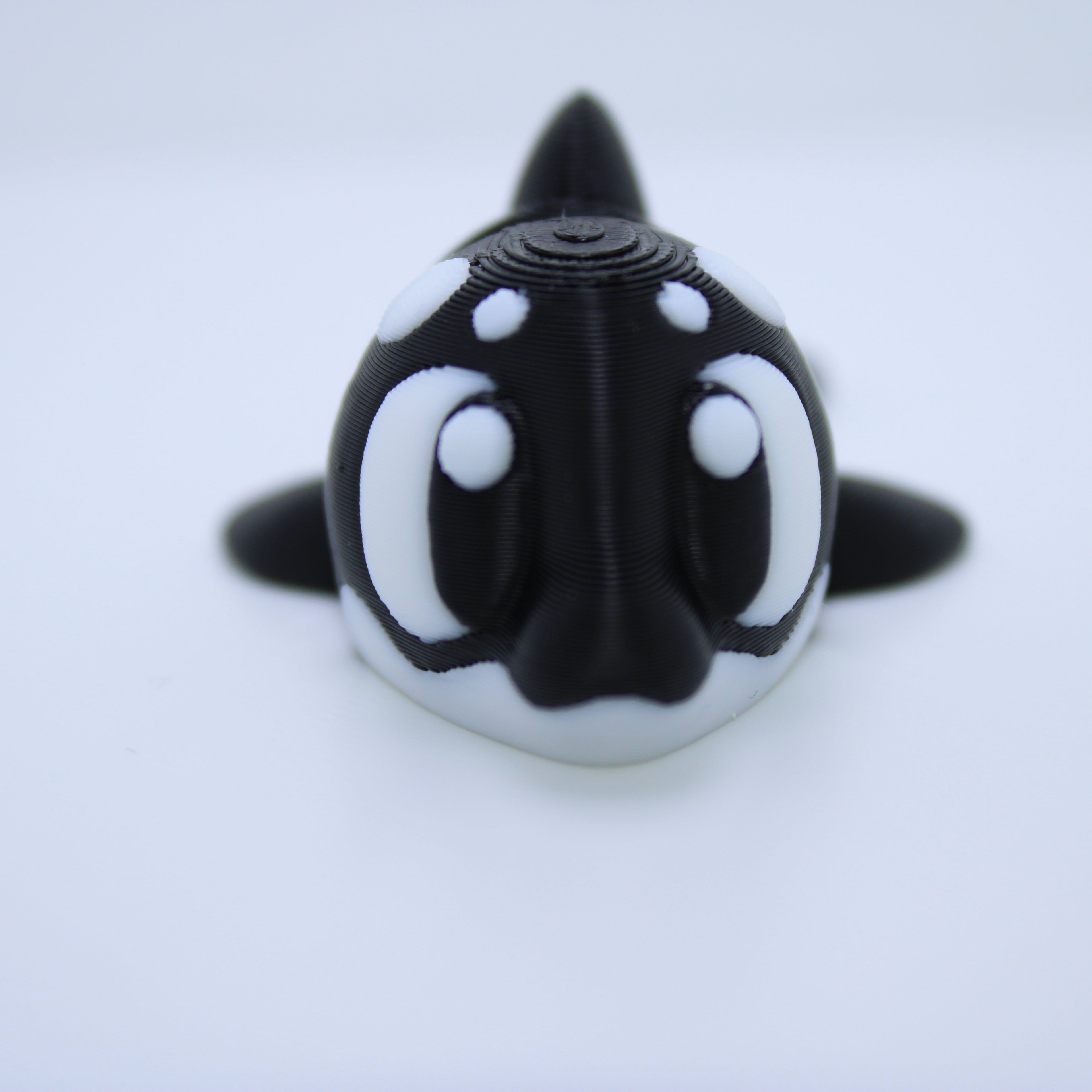 Shipwreck Aquarium Display (with or without sharks and whale) -3d printed desk companion