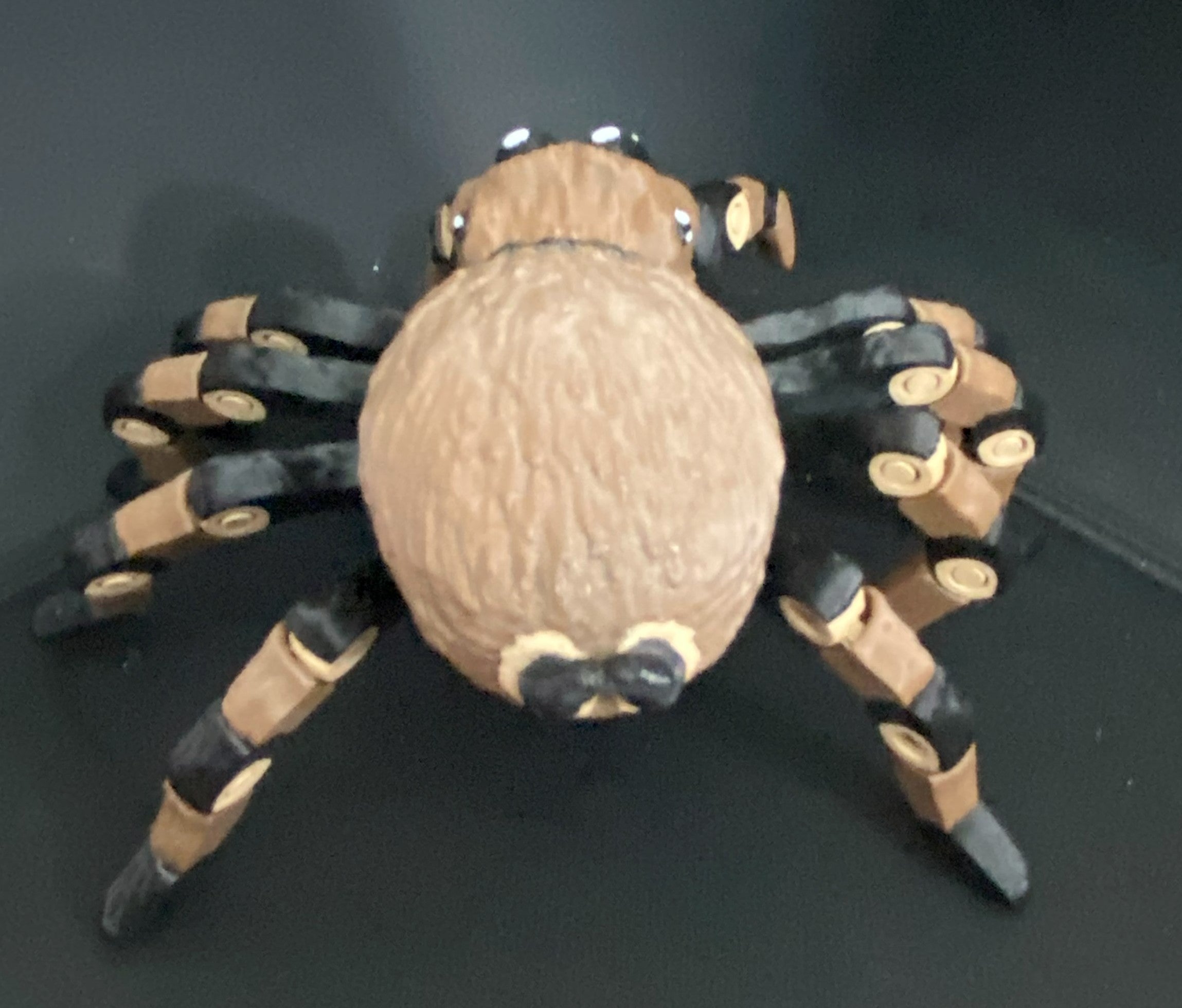 Large Articulated Tarantula — 3D Printed Creepy‑Cool Desk Buddy