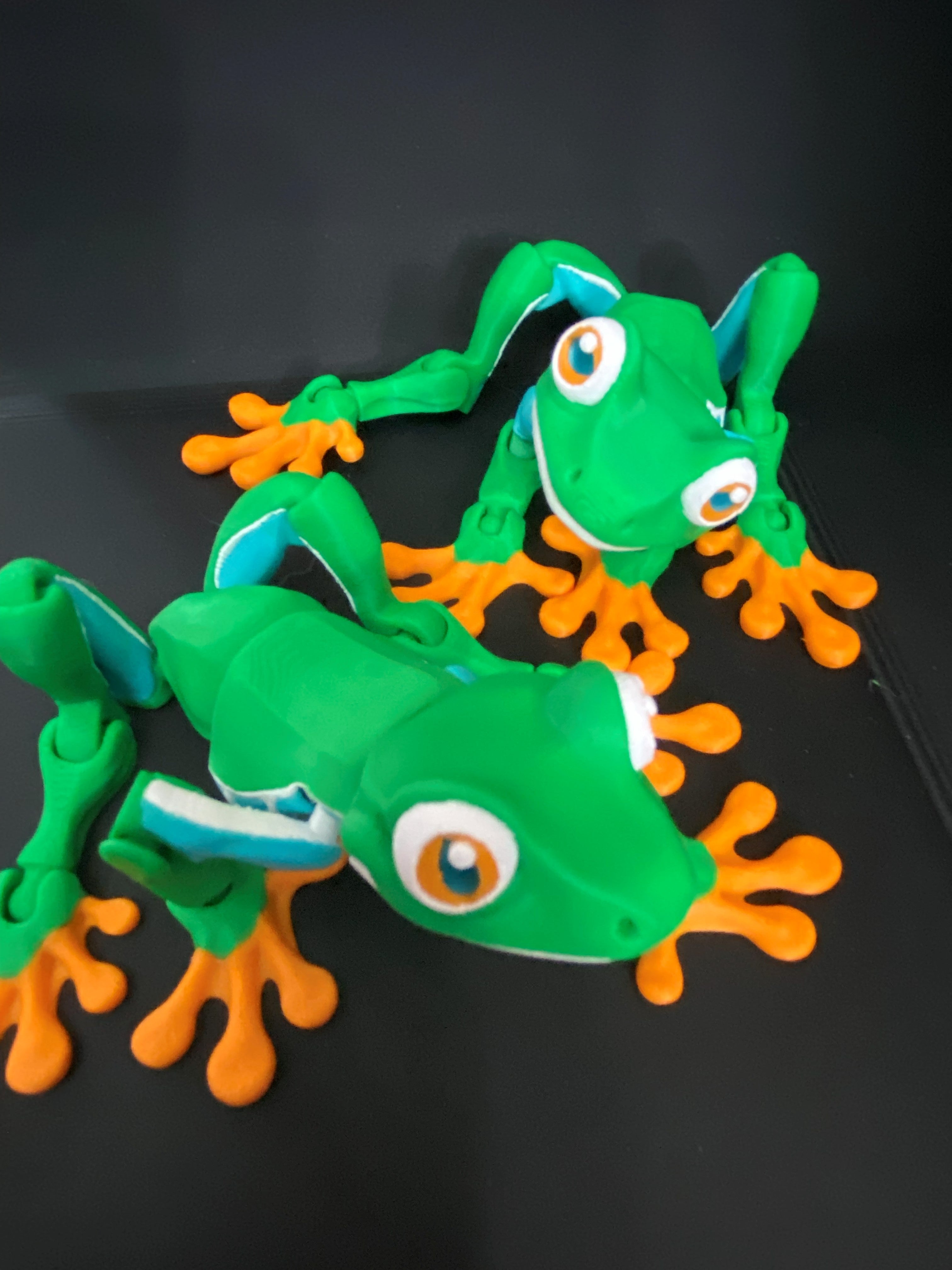 Magnetic Tree Frog – Cute 3D Printed Fridge Buddy & Fidget Toy