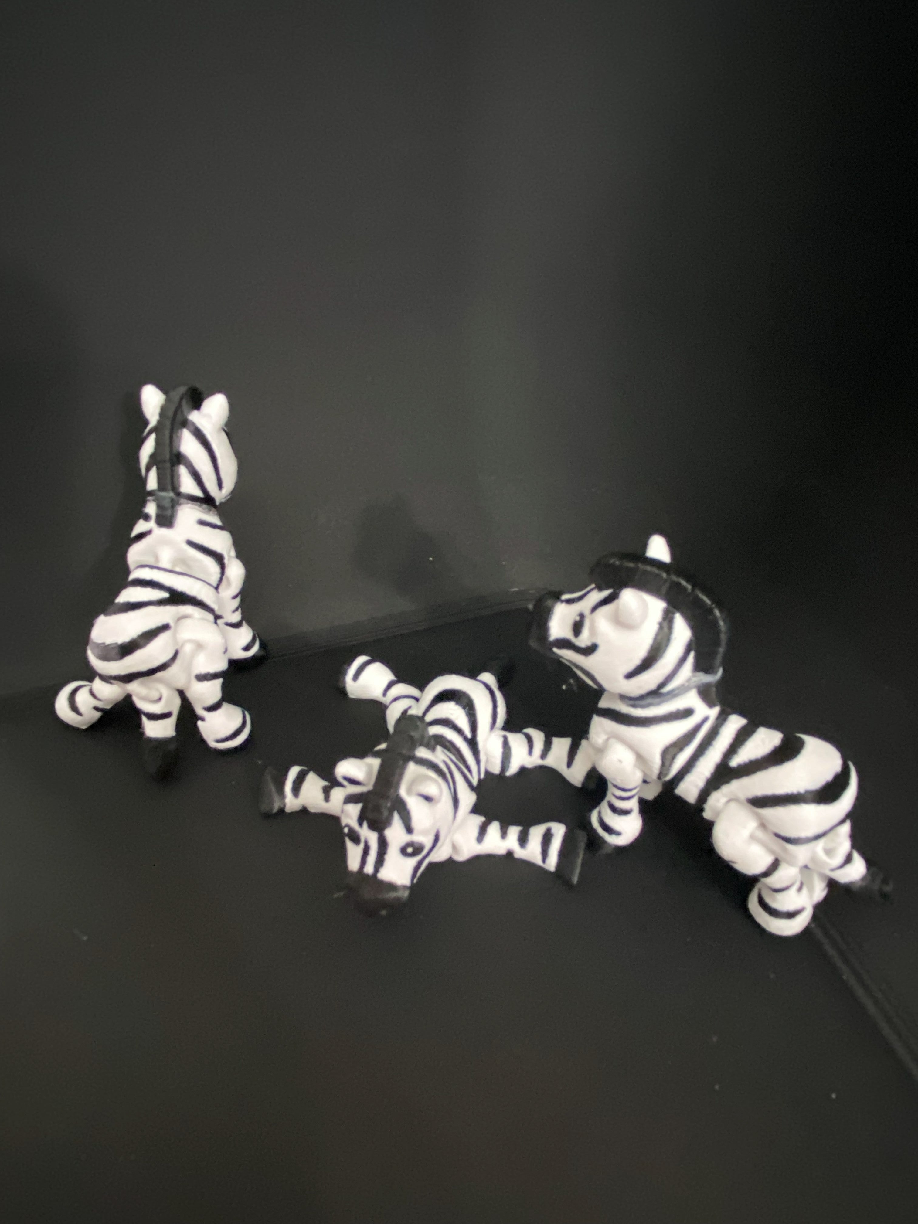 Little Zebra Desk Fidgets – Cute Collectible Animals