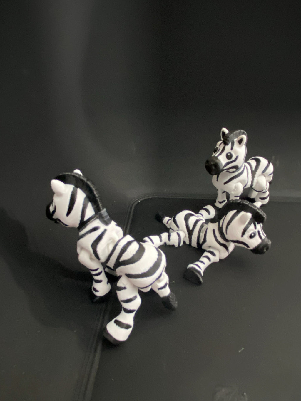Little Zebra Desk Fidgets – Cute Collectible Animals