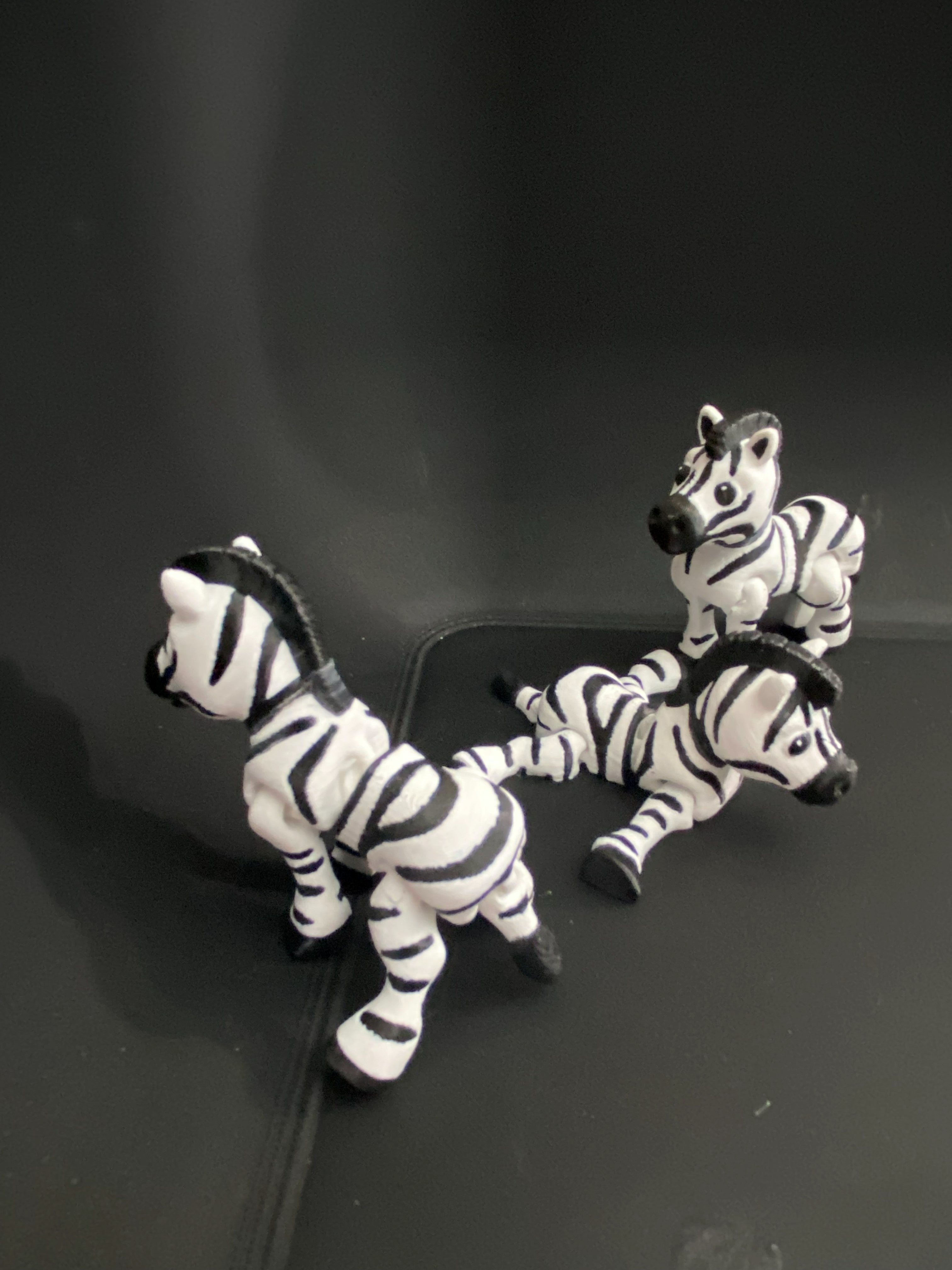 Little Zebra Desk Fidgets – Cute Collectible Animals