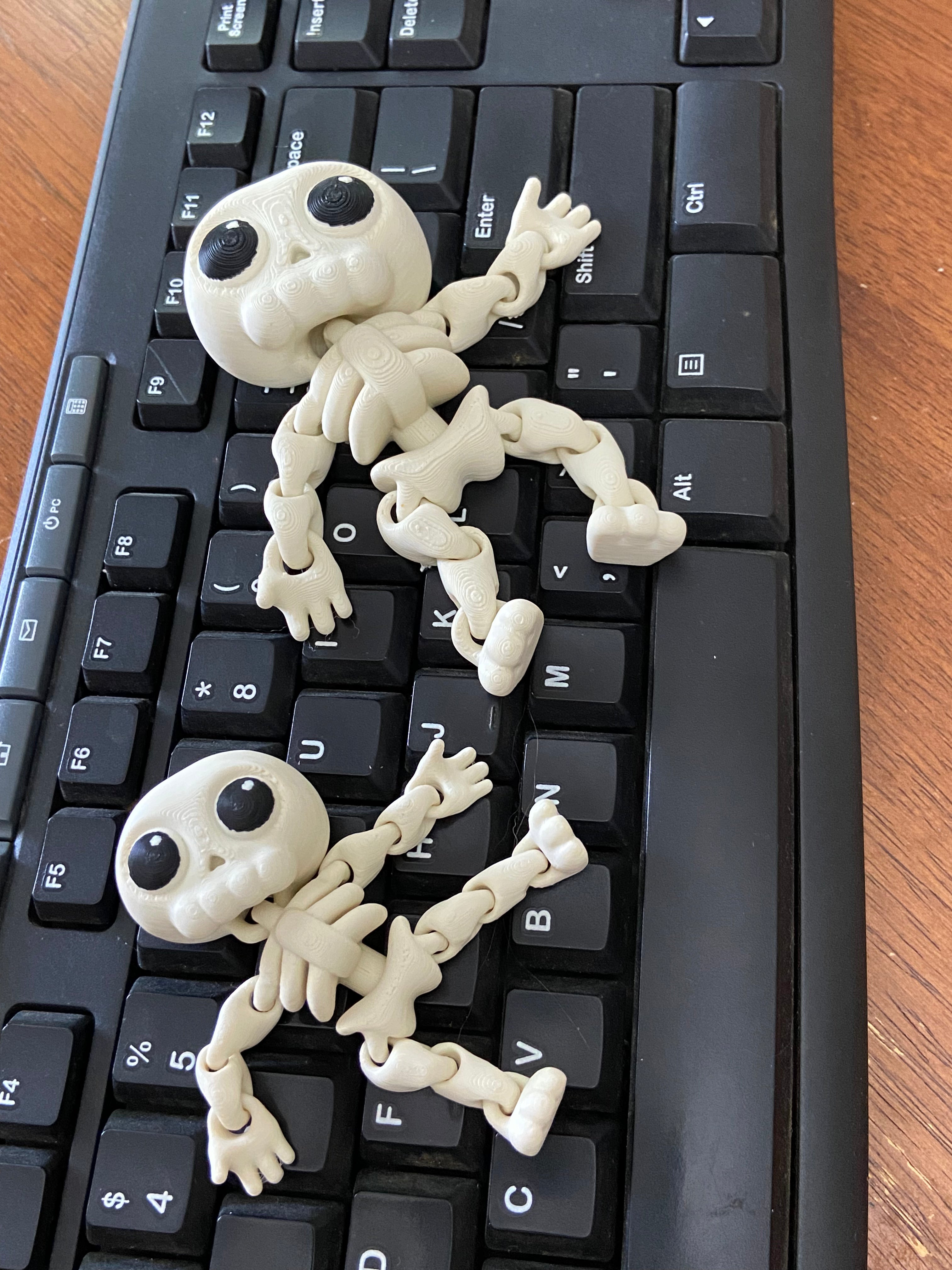 3D Printed Skeleton Wiggly Fidget