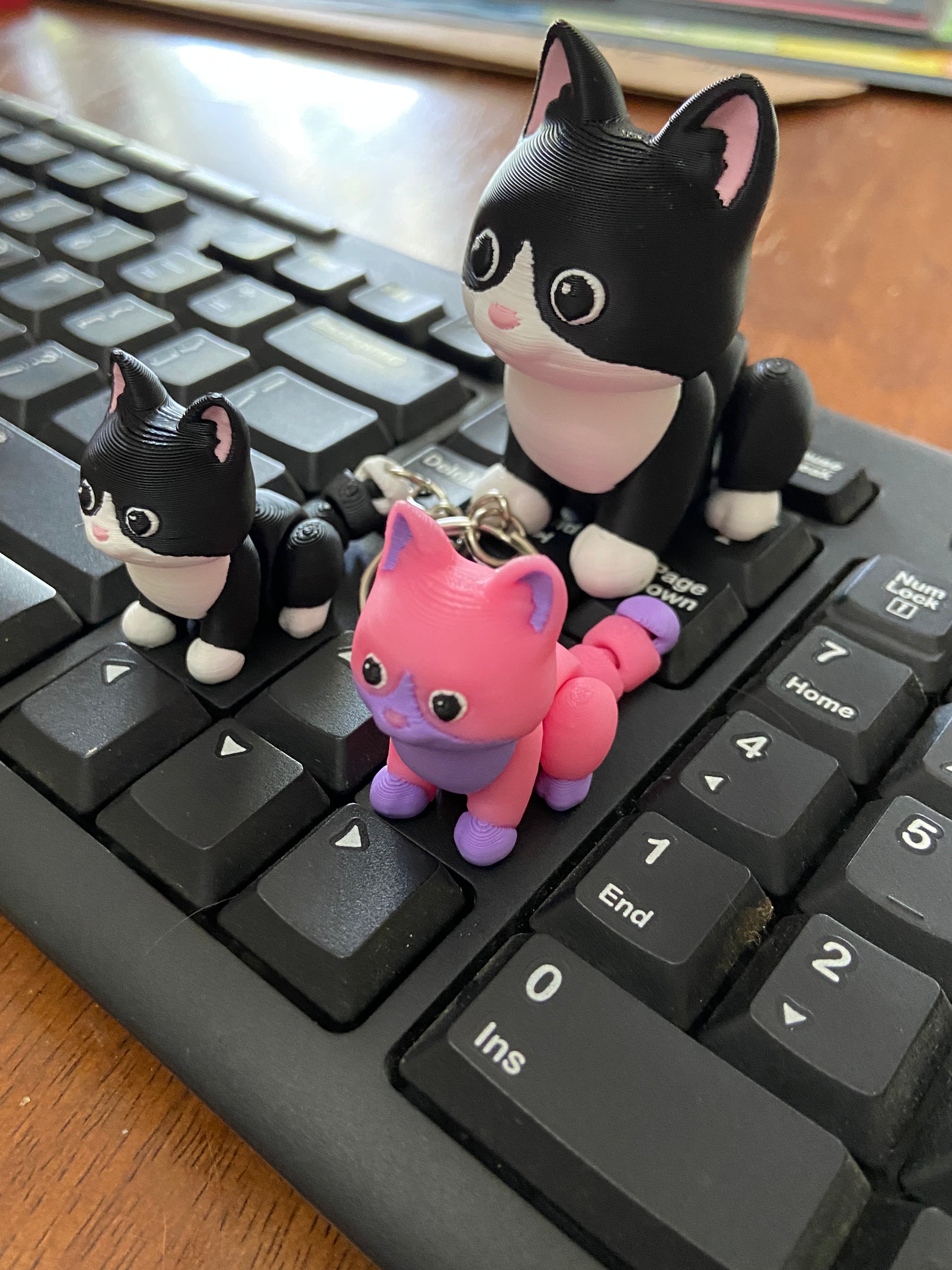 Kitty Cat Fidget Toy
