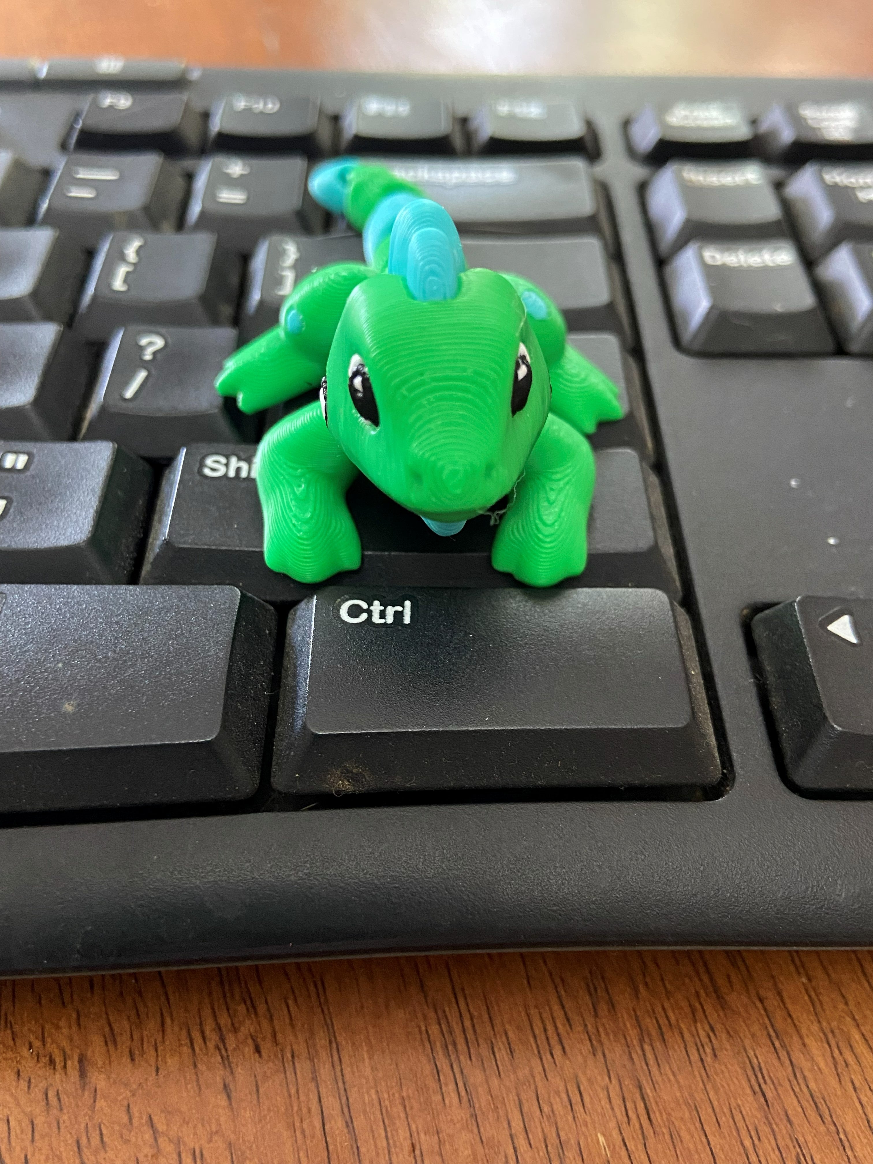 Iguana Fidget – Articulated 3D Printed Lizard