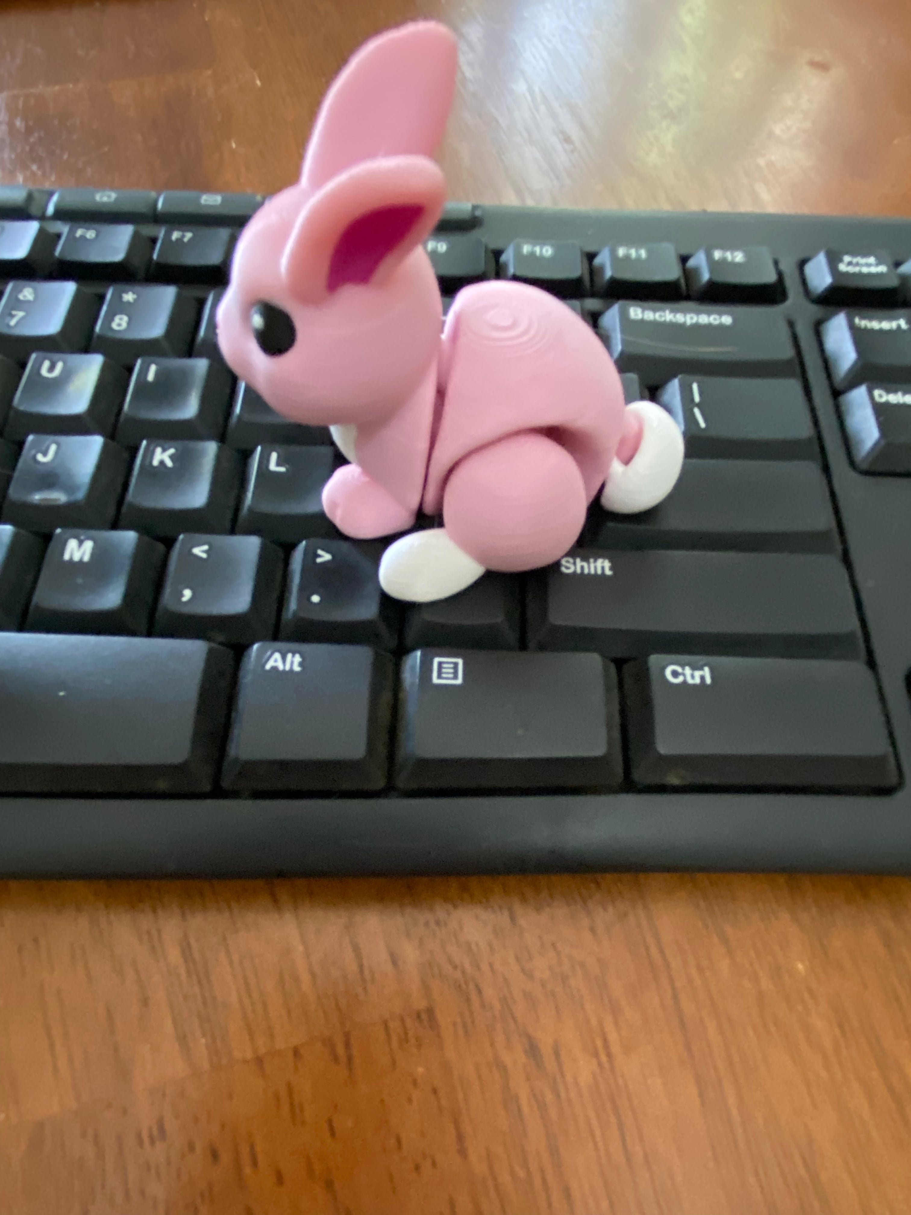 Bunny Fidget Toy