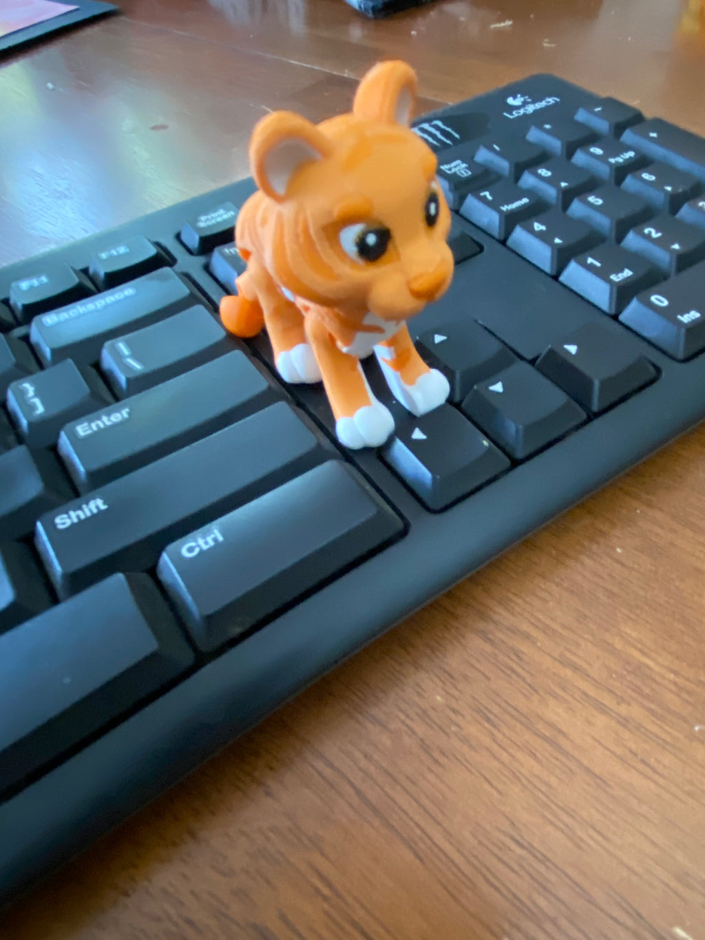 Kitty Cat Fidget Toy