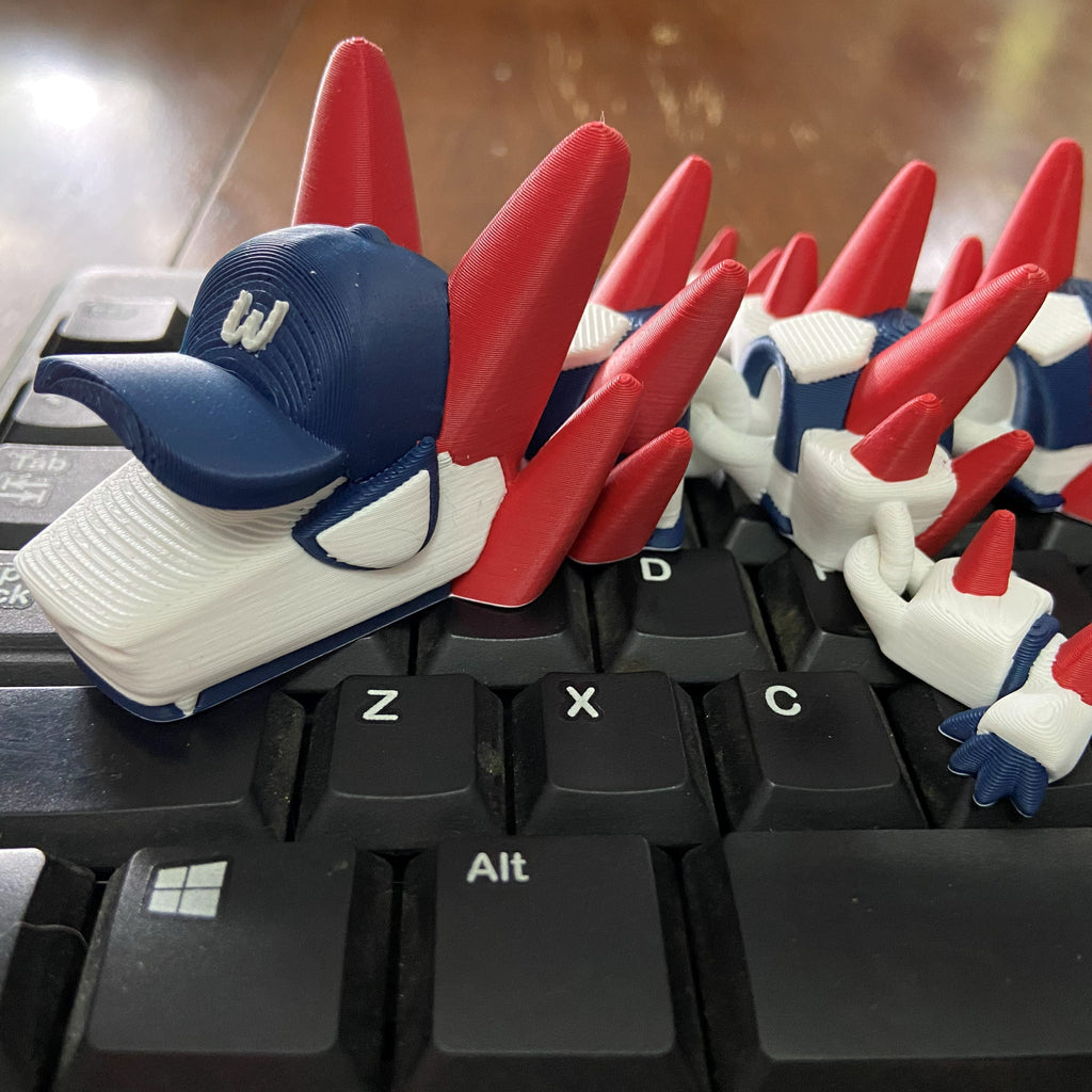Sports Dragons