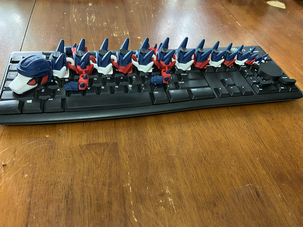 Sports Dragons