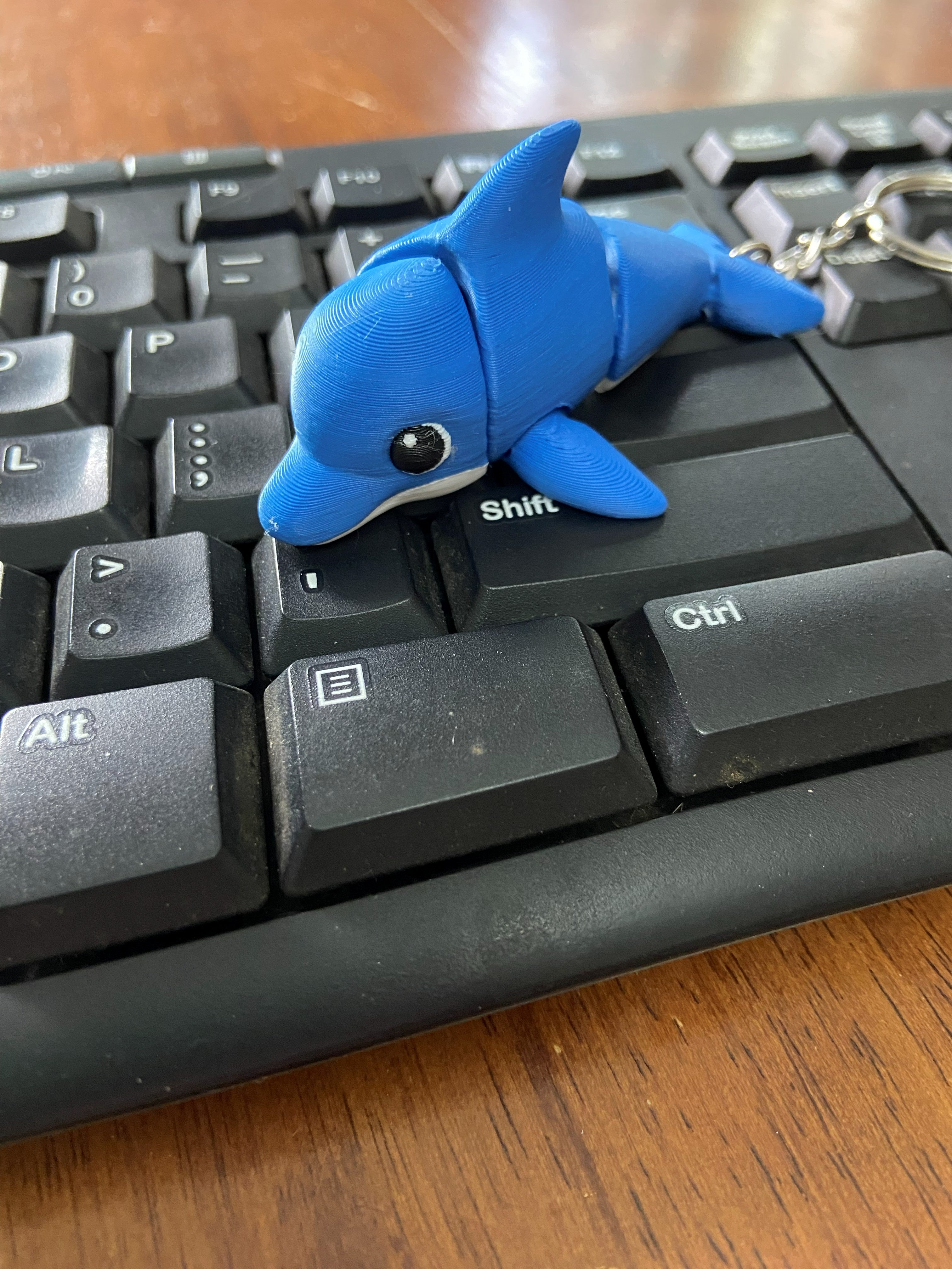 Dolphin Fidget – 3D Printed Desk Buddy & Keychain